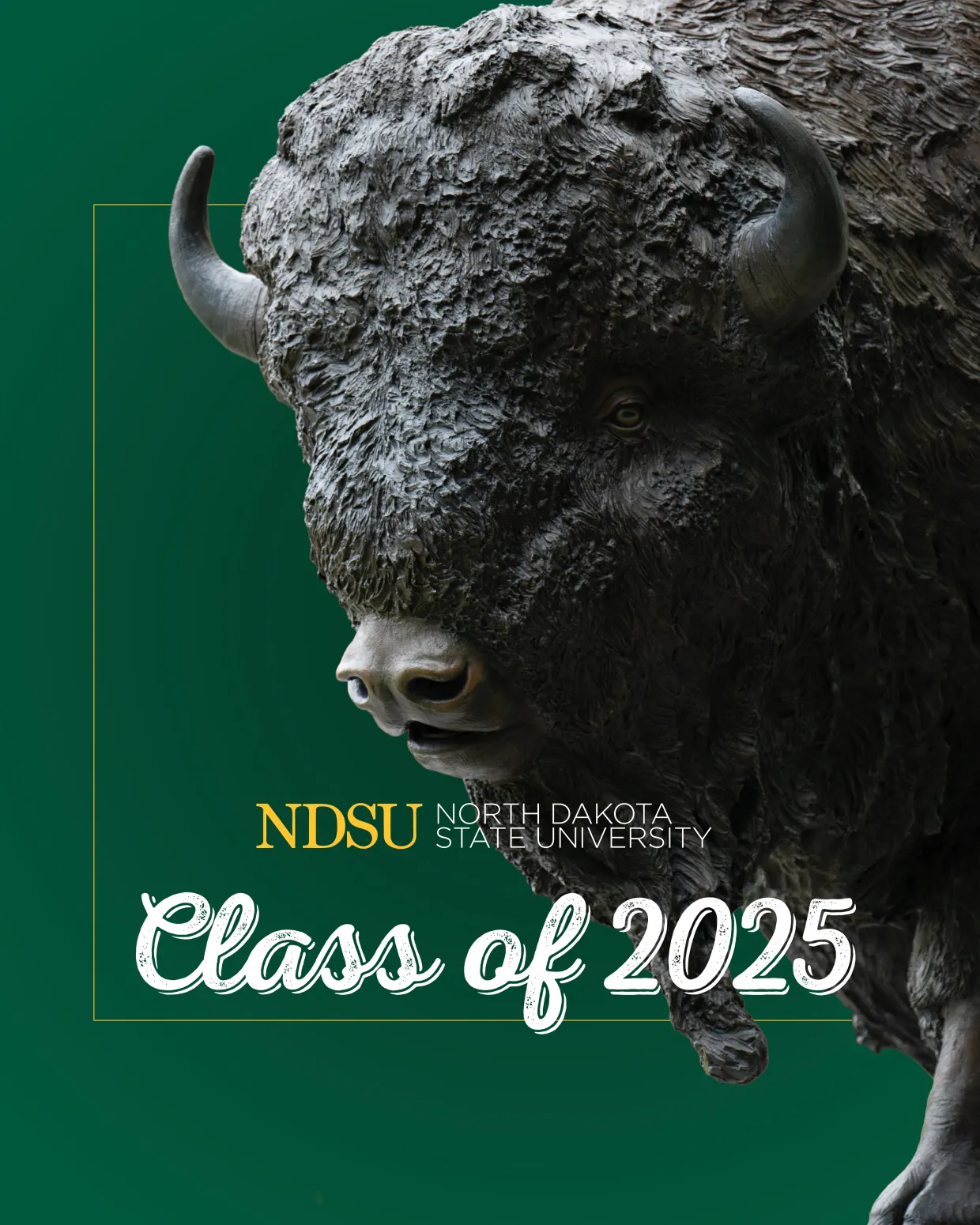 Class of 2025 graphic