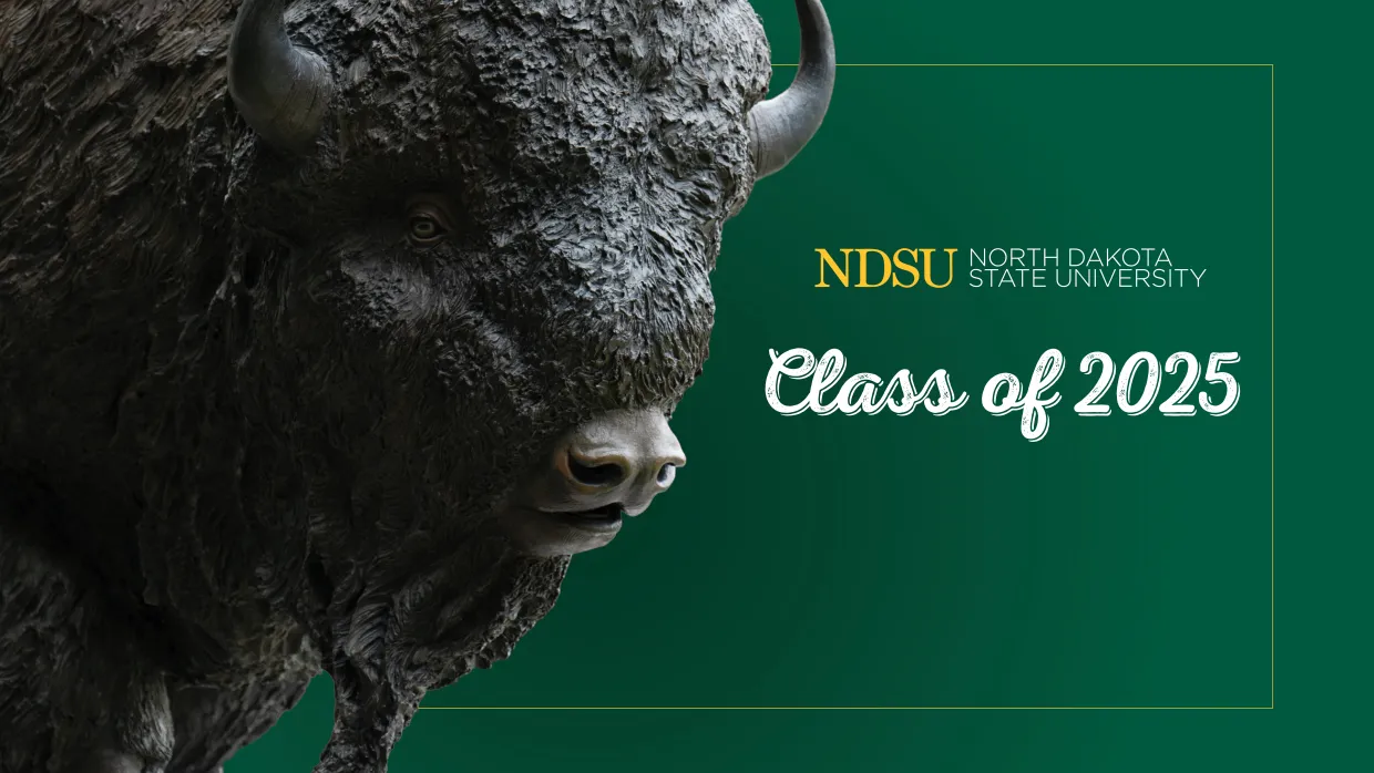 Class of 2025 graphic