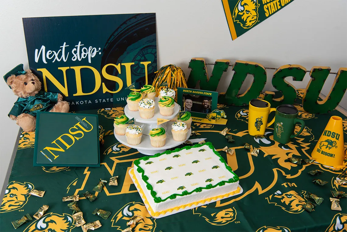 NDSU cake and cupcakes