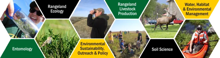 Outdoor activities interspersed with a list of NRM major emphases