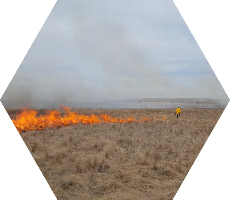 Prescribed fire on a prairie