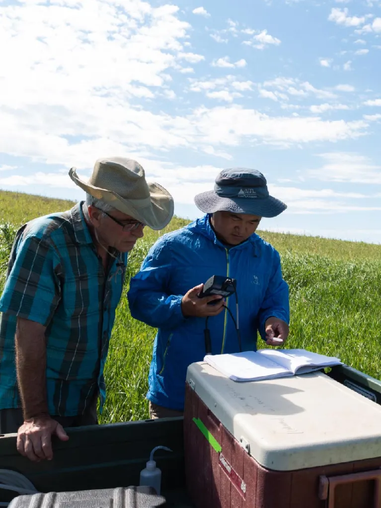 Two researchers in a wetland field