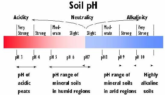 Soil PH NDSU Agriculture