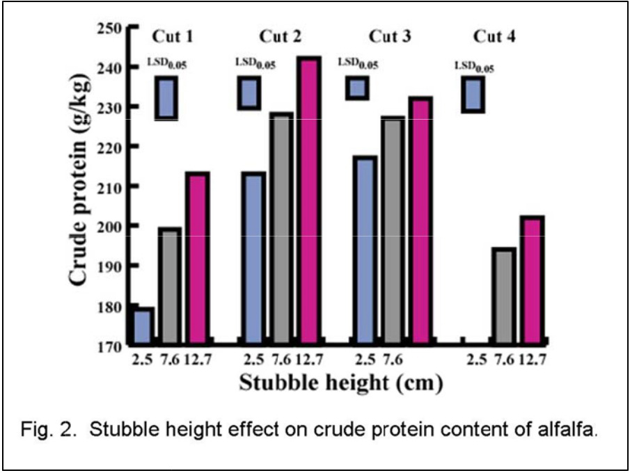 Stubble Height Effects in Alfalfa NDSU Agriculture