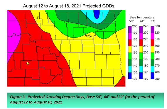 Figure 3.  Projected Growing Degree Days, Base 50°, 44° and 32° for the period of August 12 to August 18, 2021