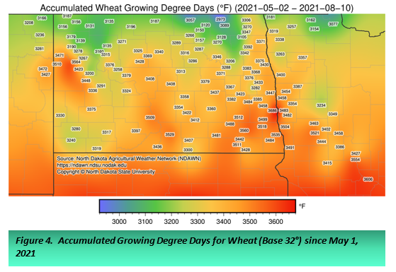 Figure 4.  Accumulated Growing Degree Days for Wheat (Base 32°) since May 1, 2021