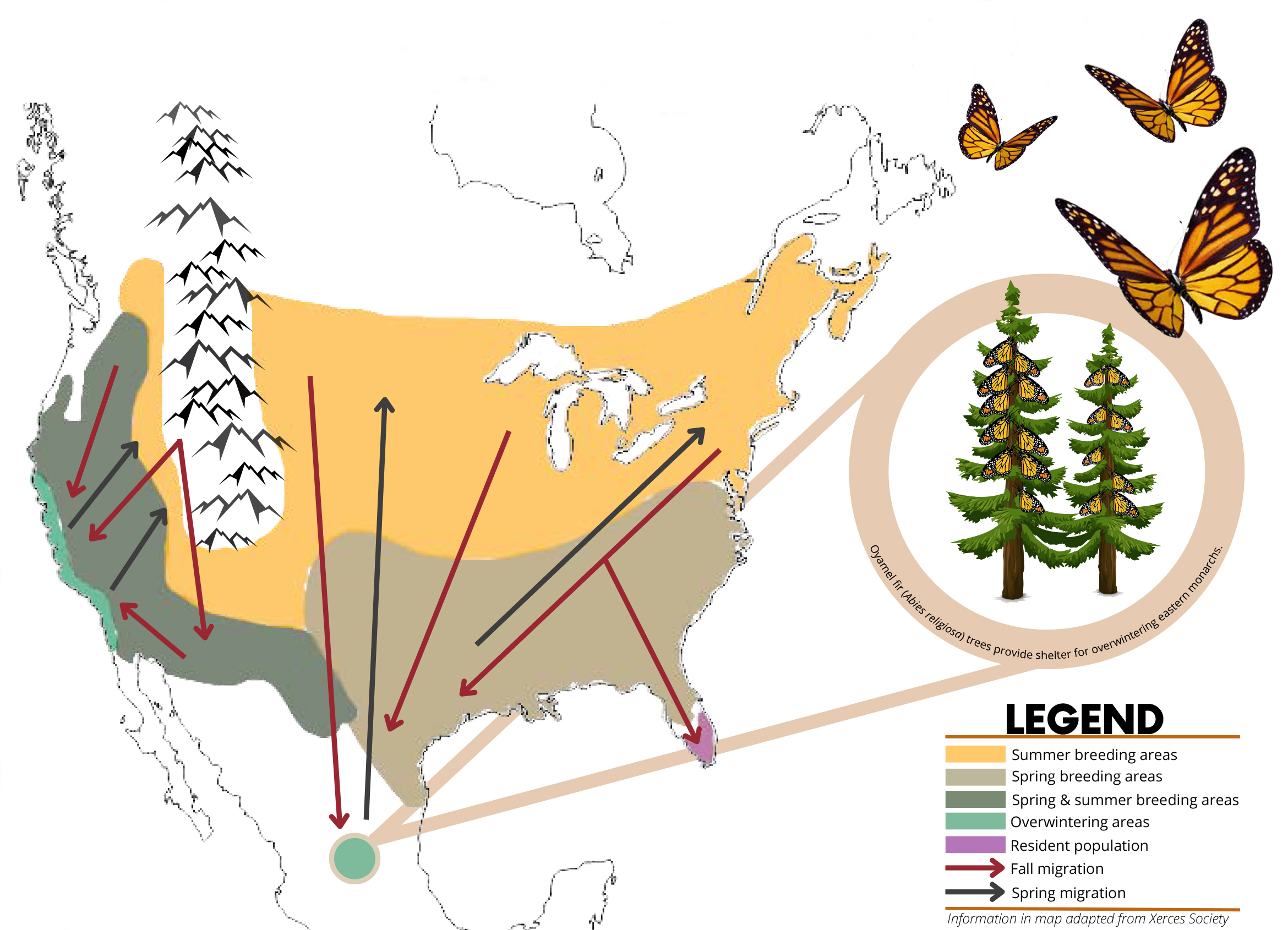 Monarch Conservation in the Northern Great Plains | NDSU Agriculture