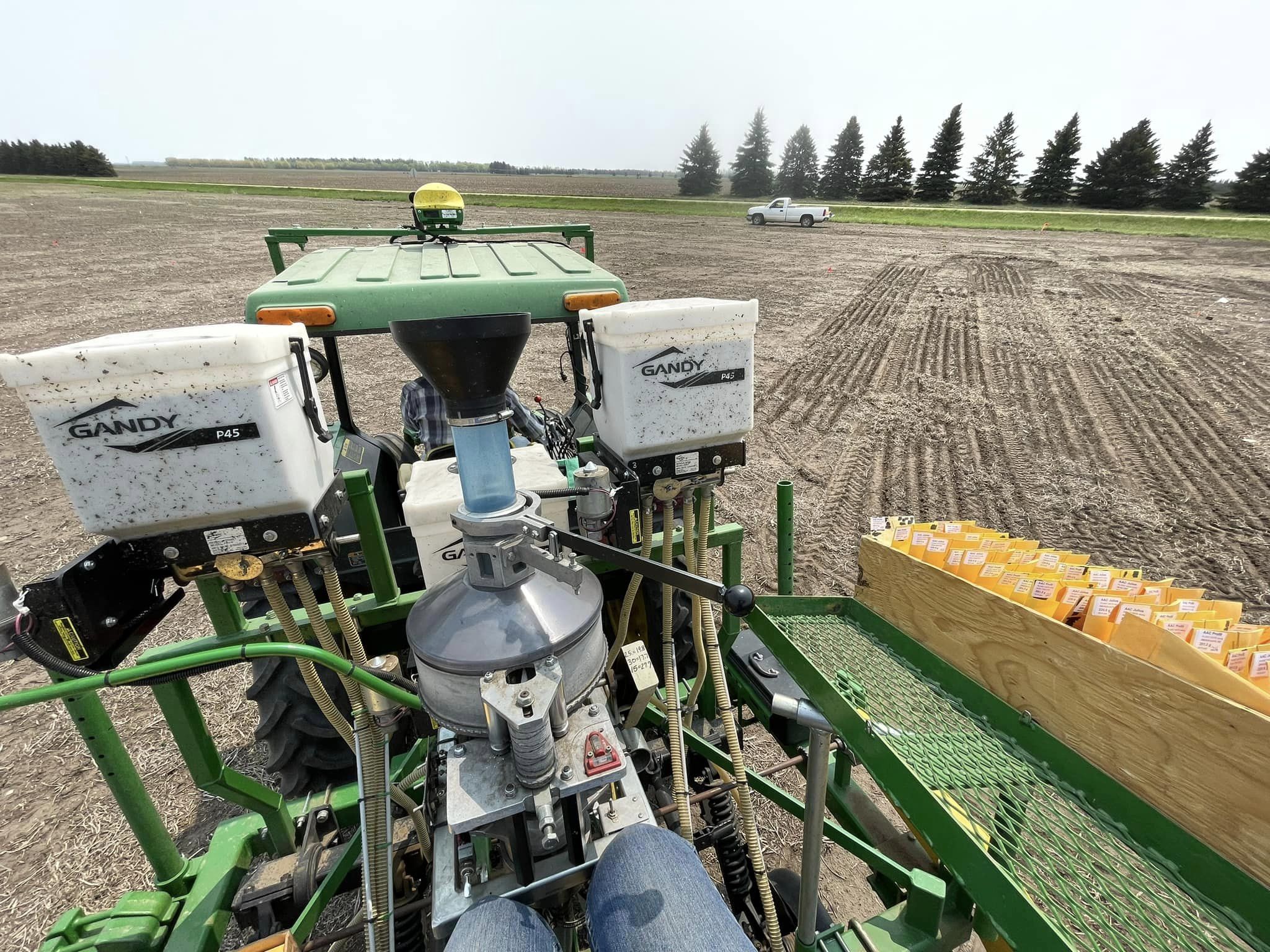 View from on the planter