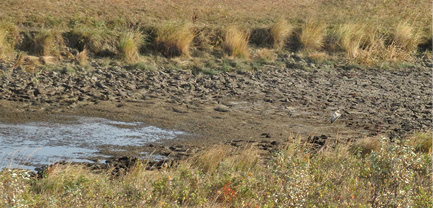 dried up water source during drought