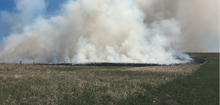 smoke in a field from burning 