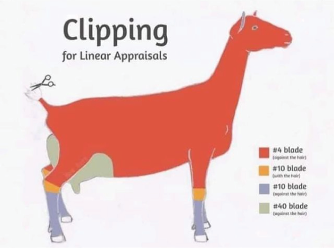 Clipping for Linear Appraisals