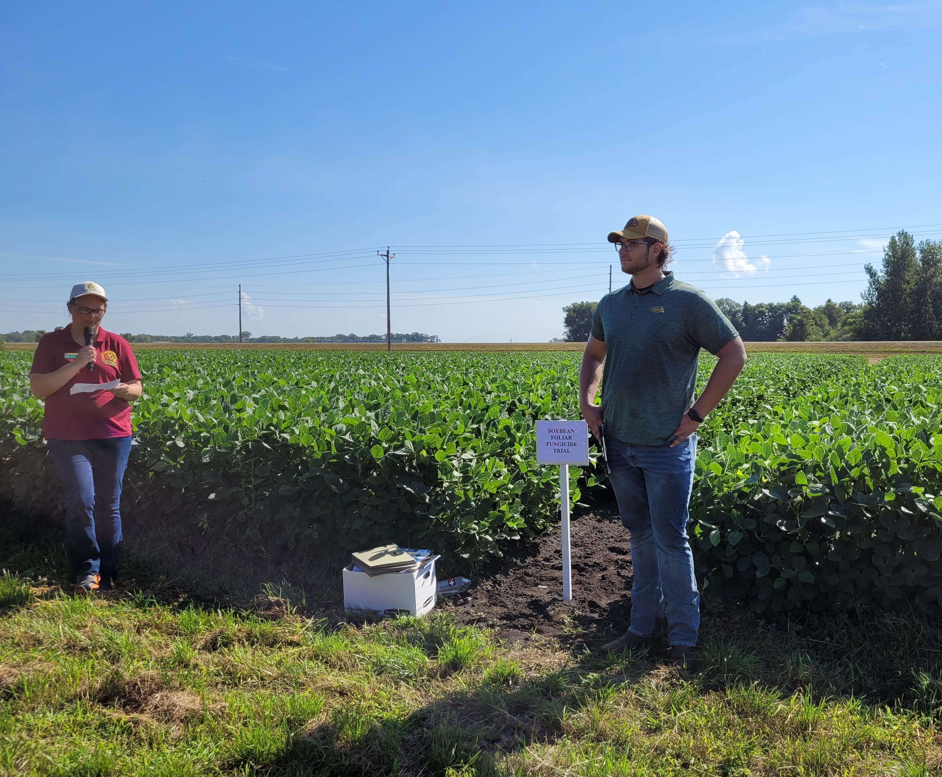 Researchers near soybean plots