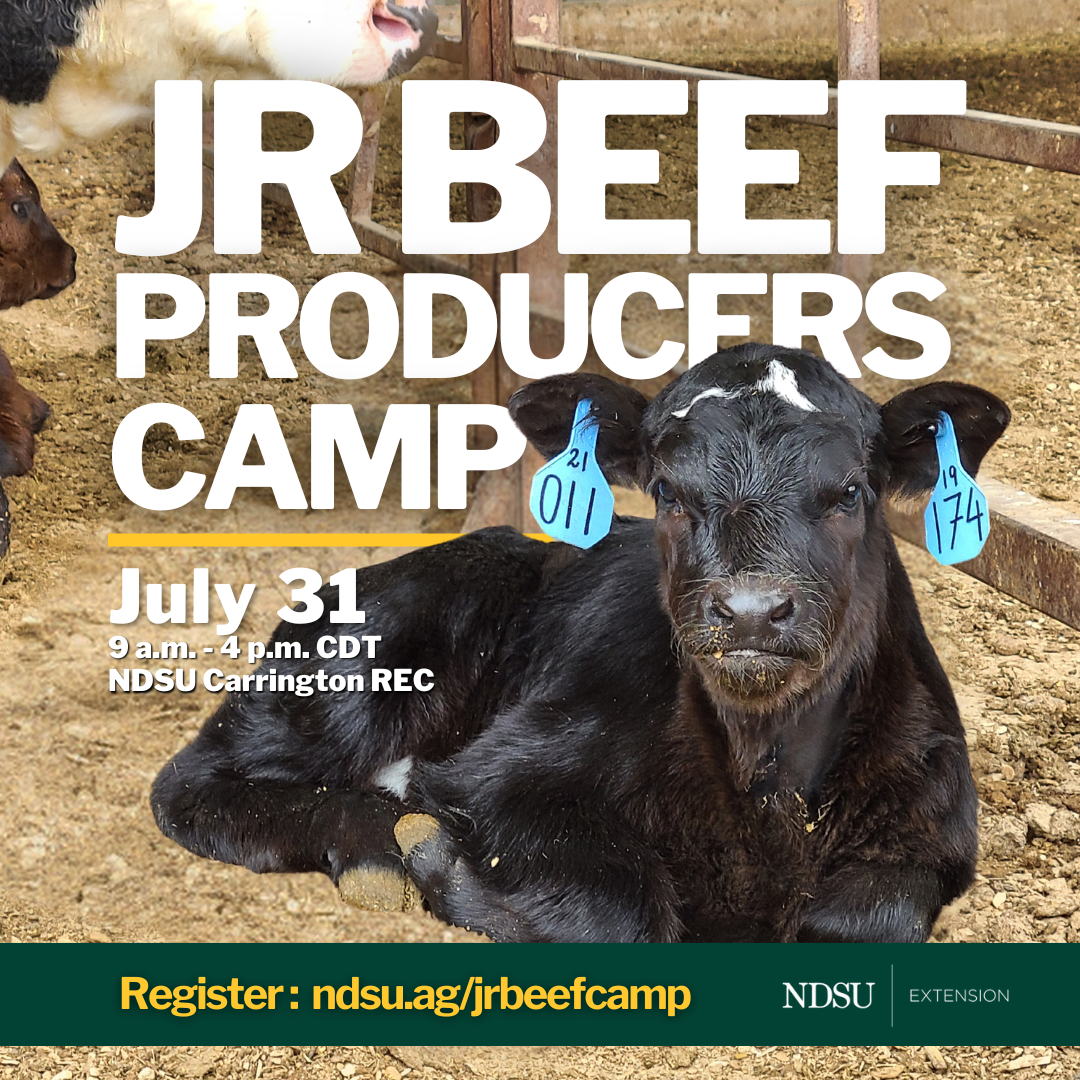 Junior Beef Producers Camp 2024