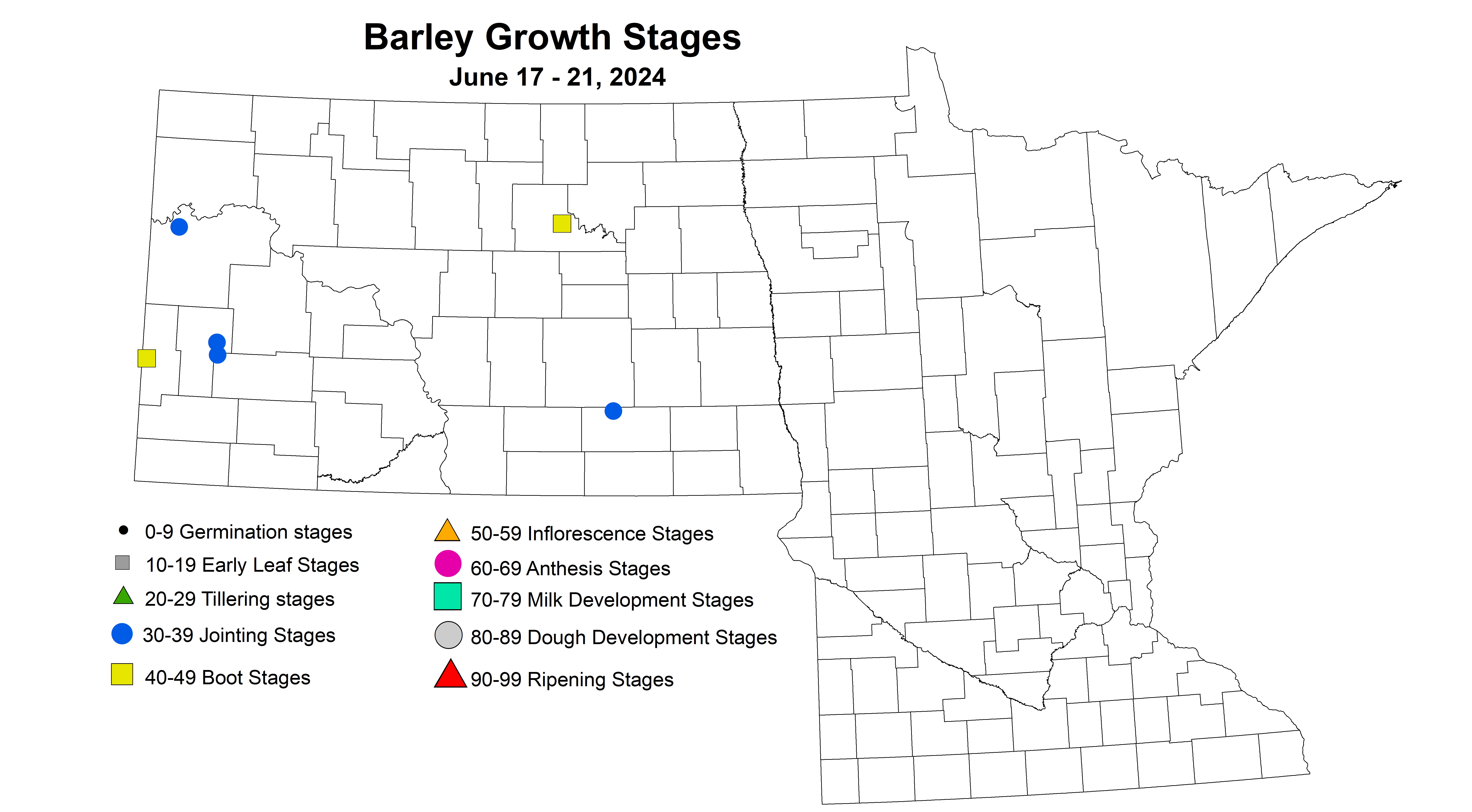barley growth stages June 17-21 2024
