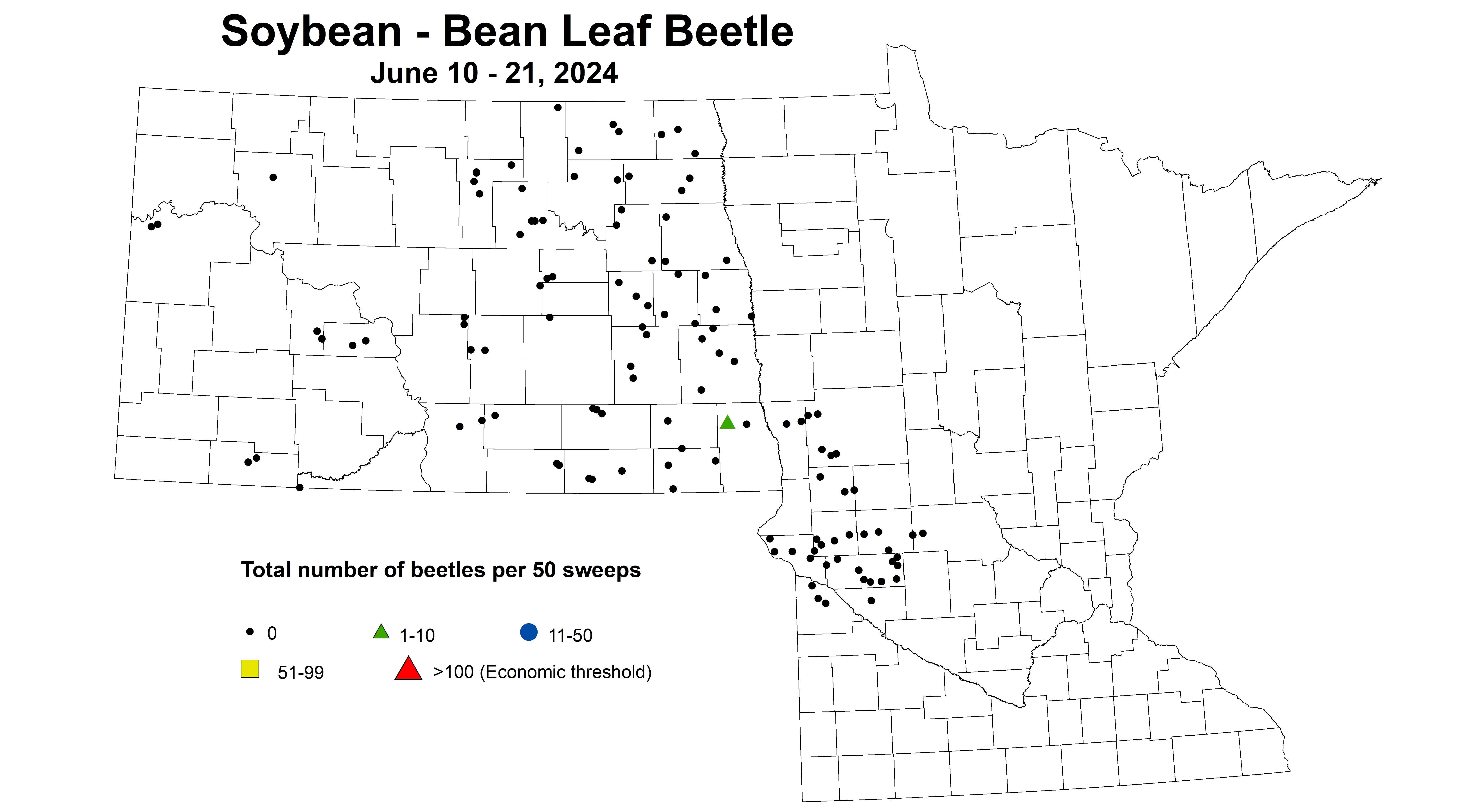 soybean BLB beetles per 50 sweeps June 10-21 2024