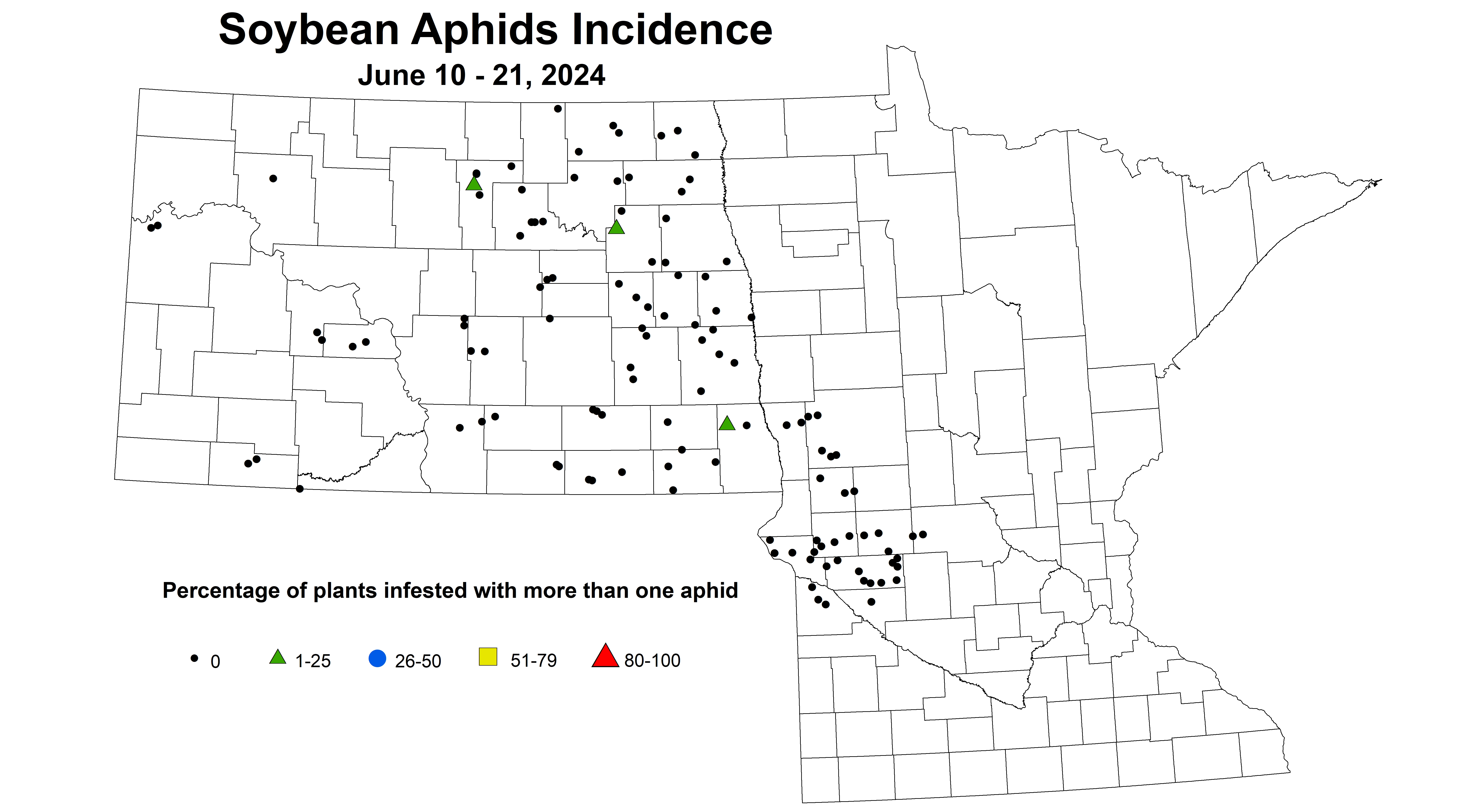 soybean aphid incidence June 10-21 2024