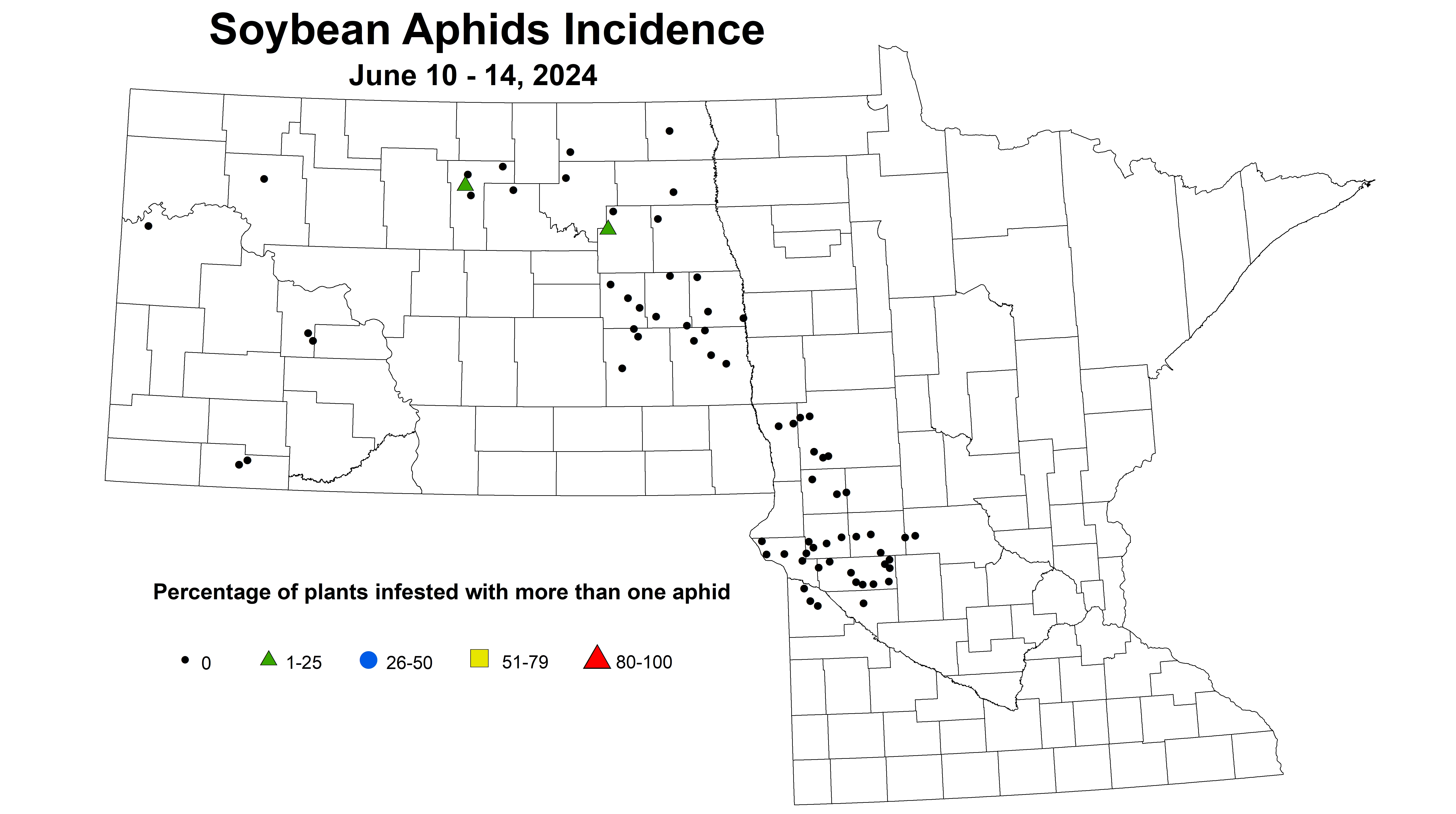 soybean aphids incidence June 10-14 2024