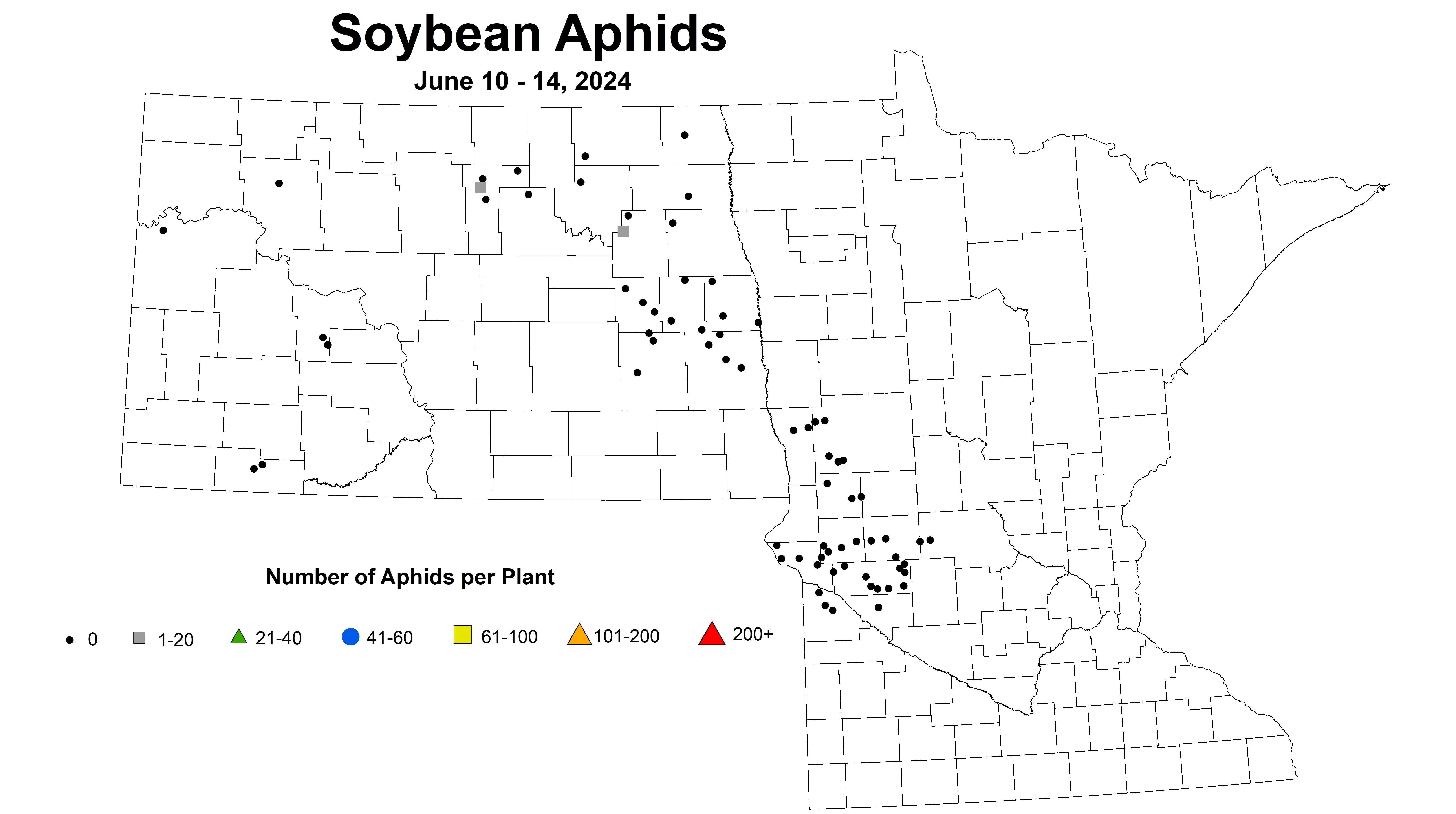 soybean average number of aphids per plant June 10-14 2024