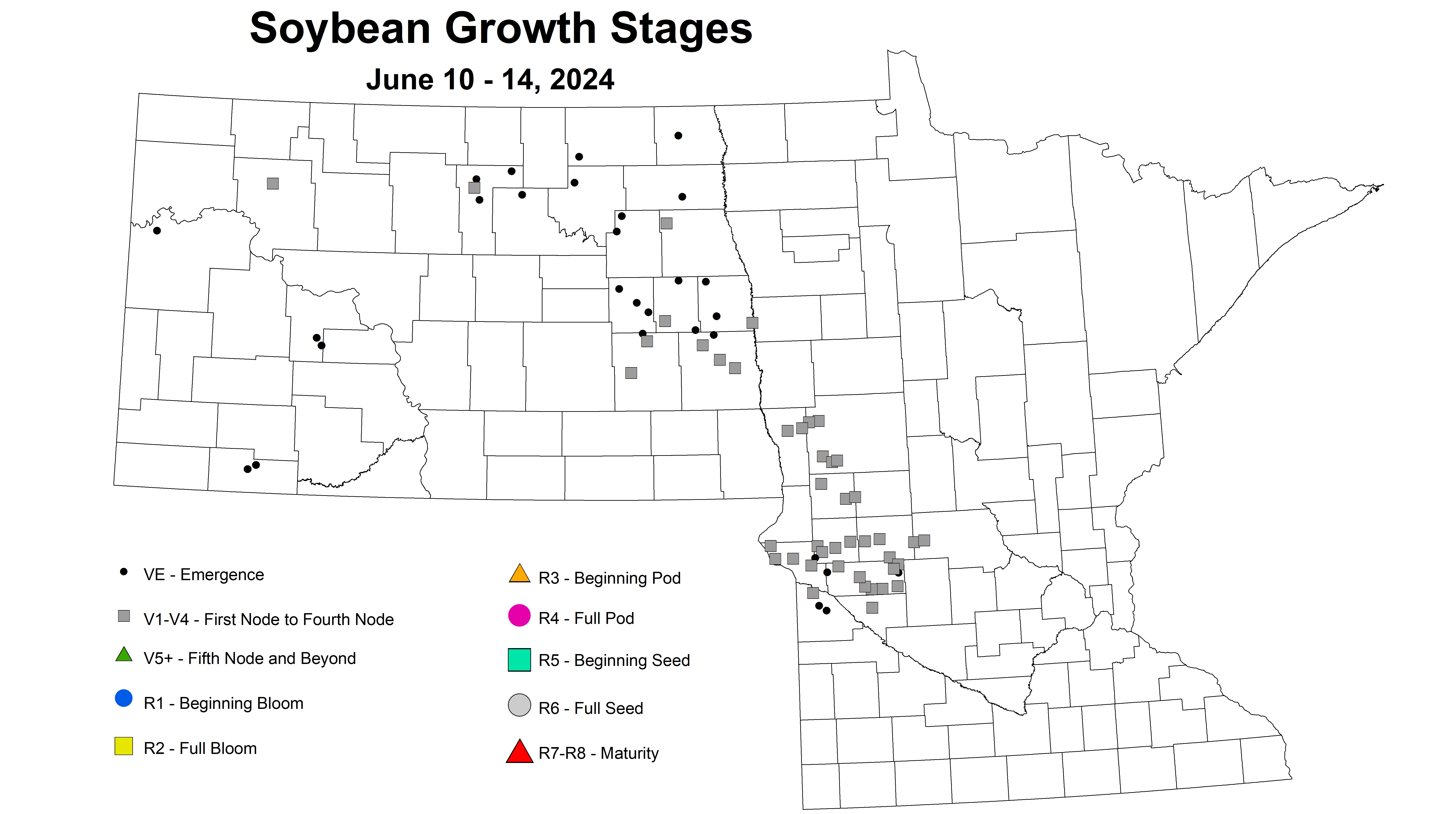 soybean growth stages June 10-14 2024