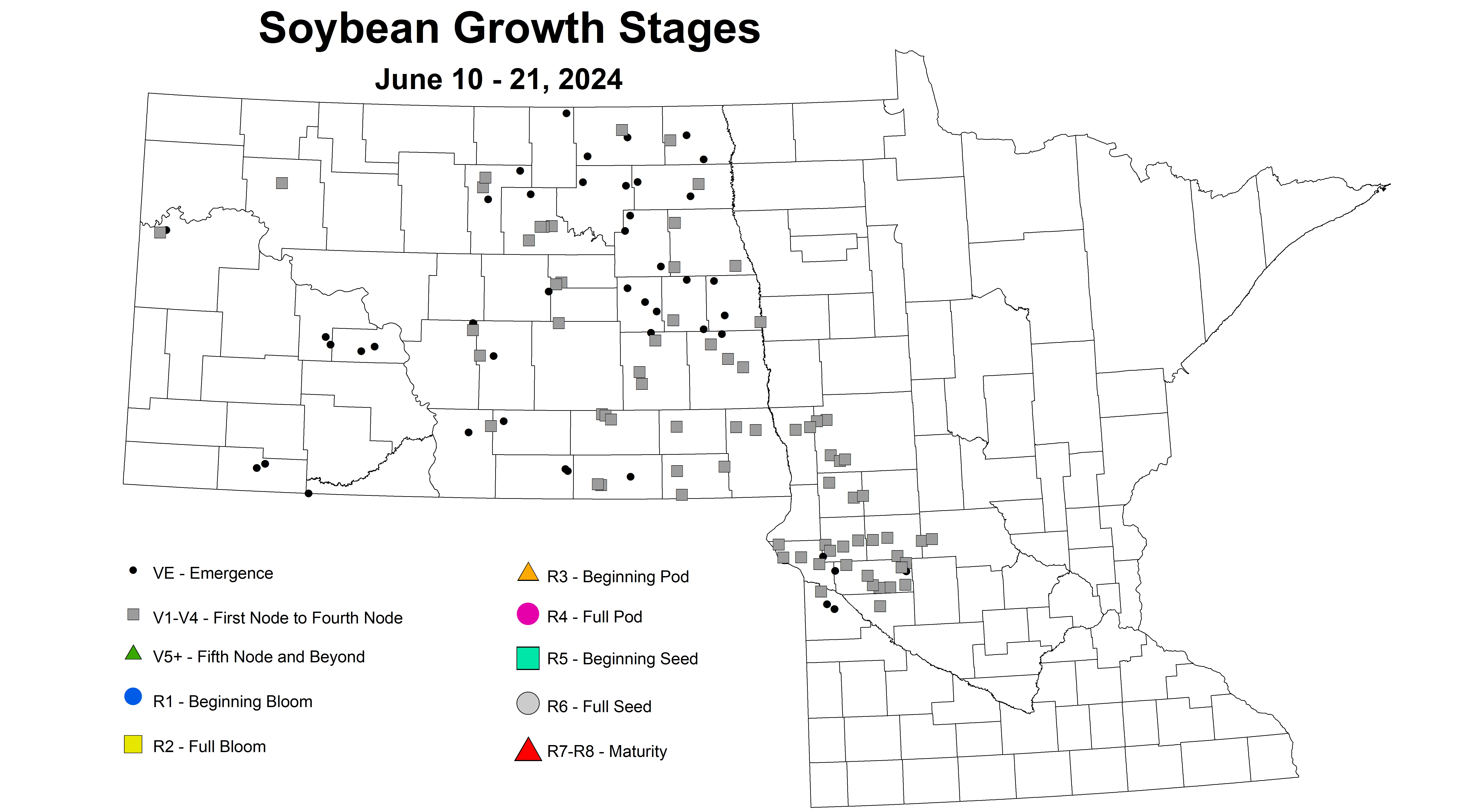 soybean growth stages June 10-21 2024