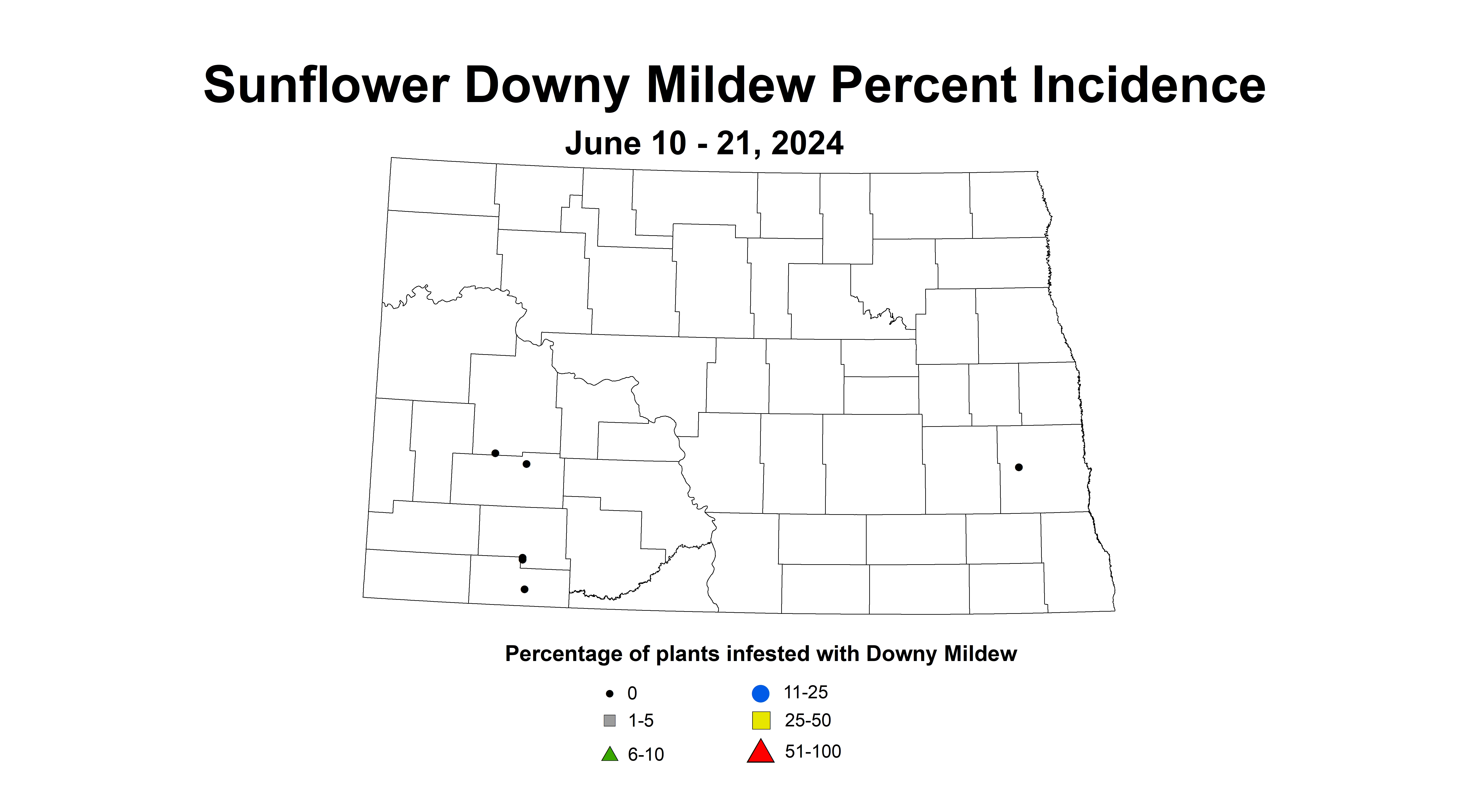 sunflower downy mildew June 10-21 2024