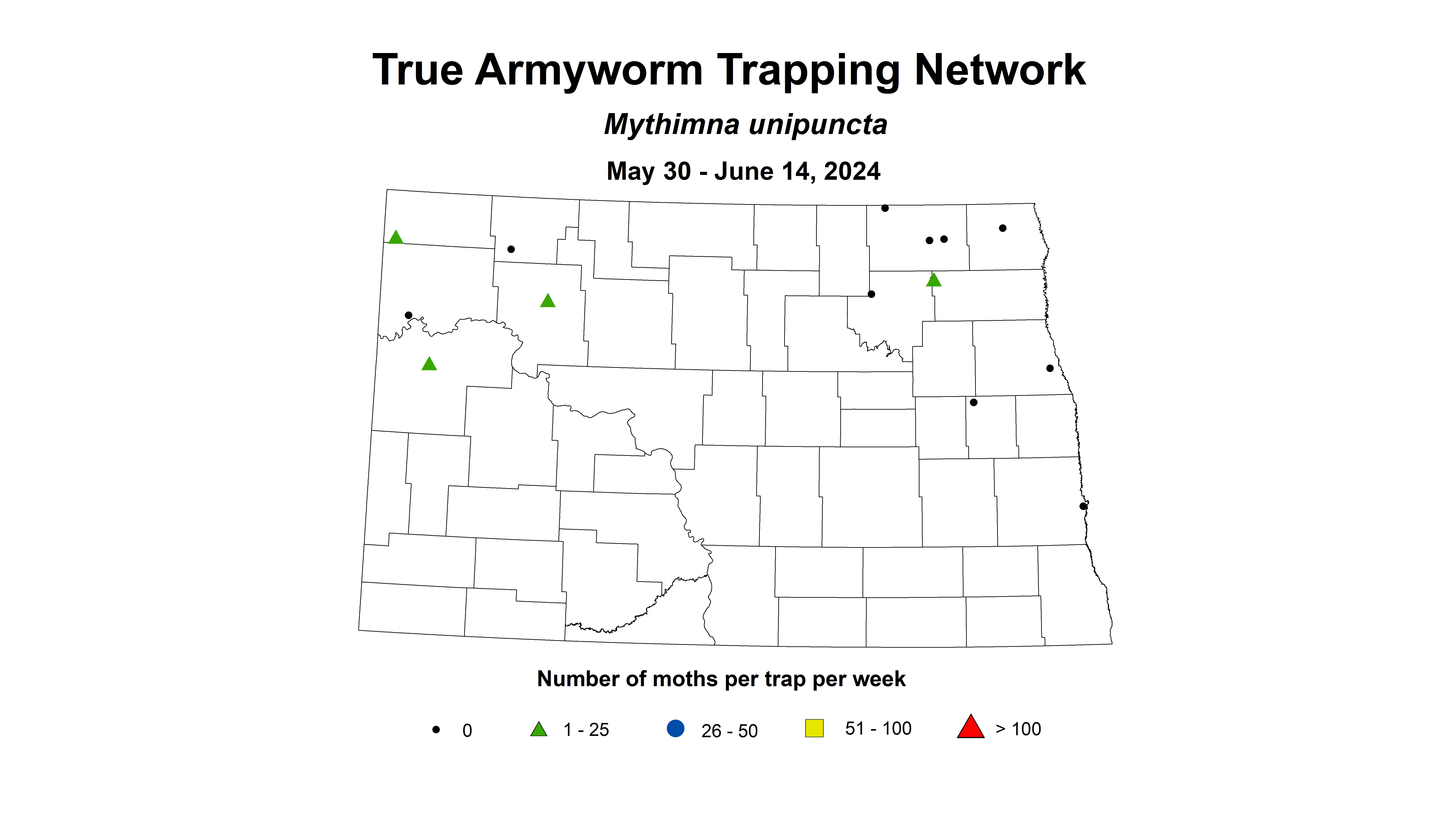 wheat insect trap armyworm 5.30-6.14 2024