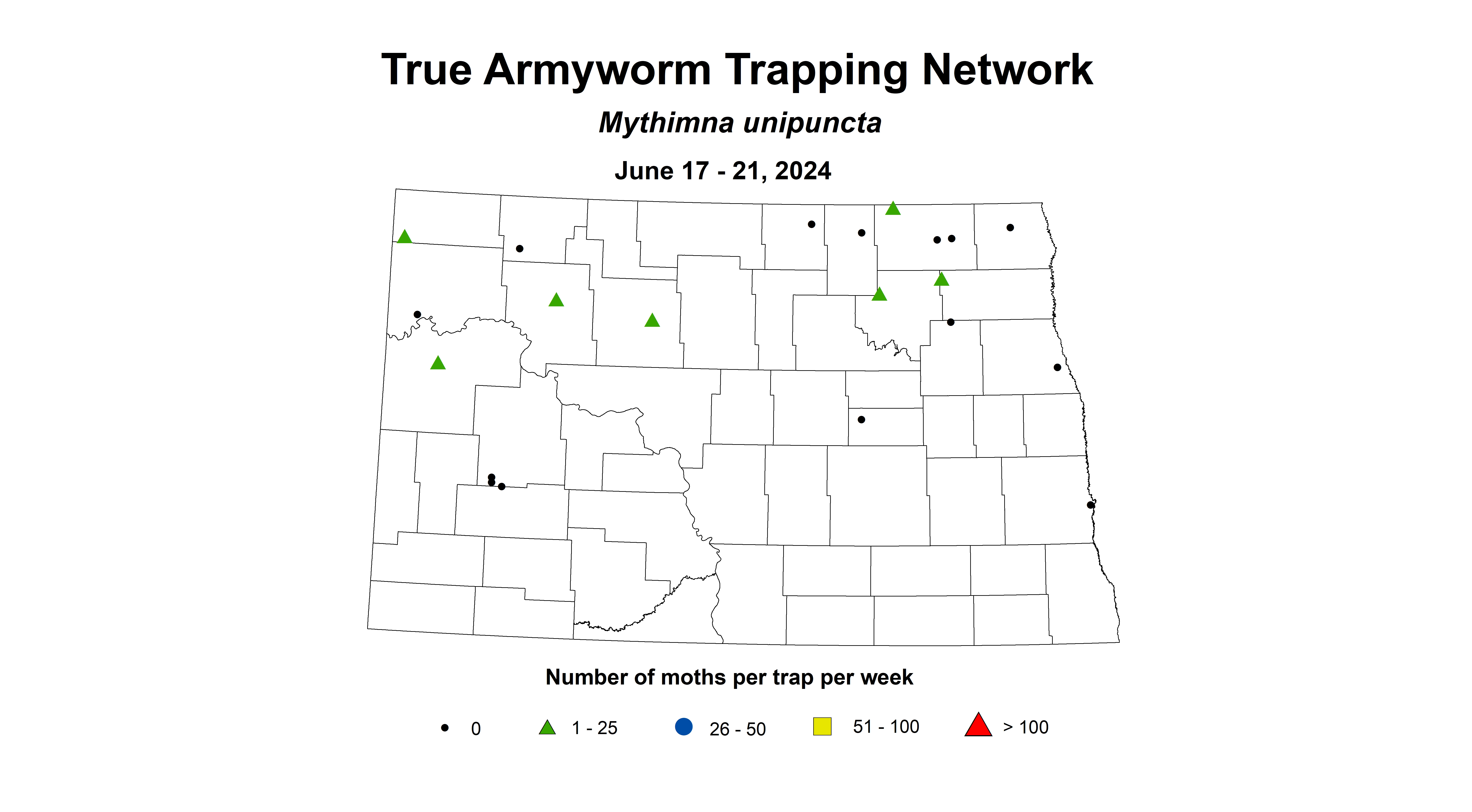 wheat insect true armyworm 6.17-6.21 2024