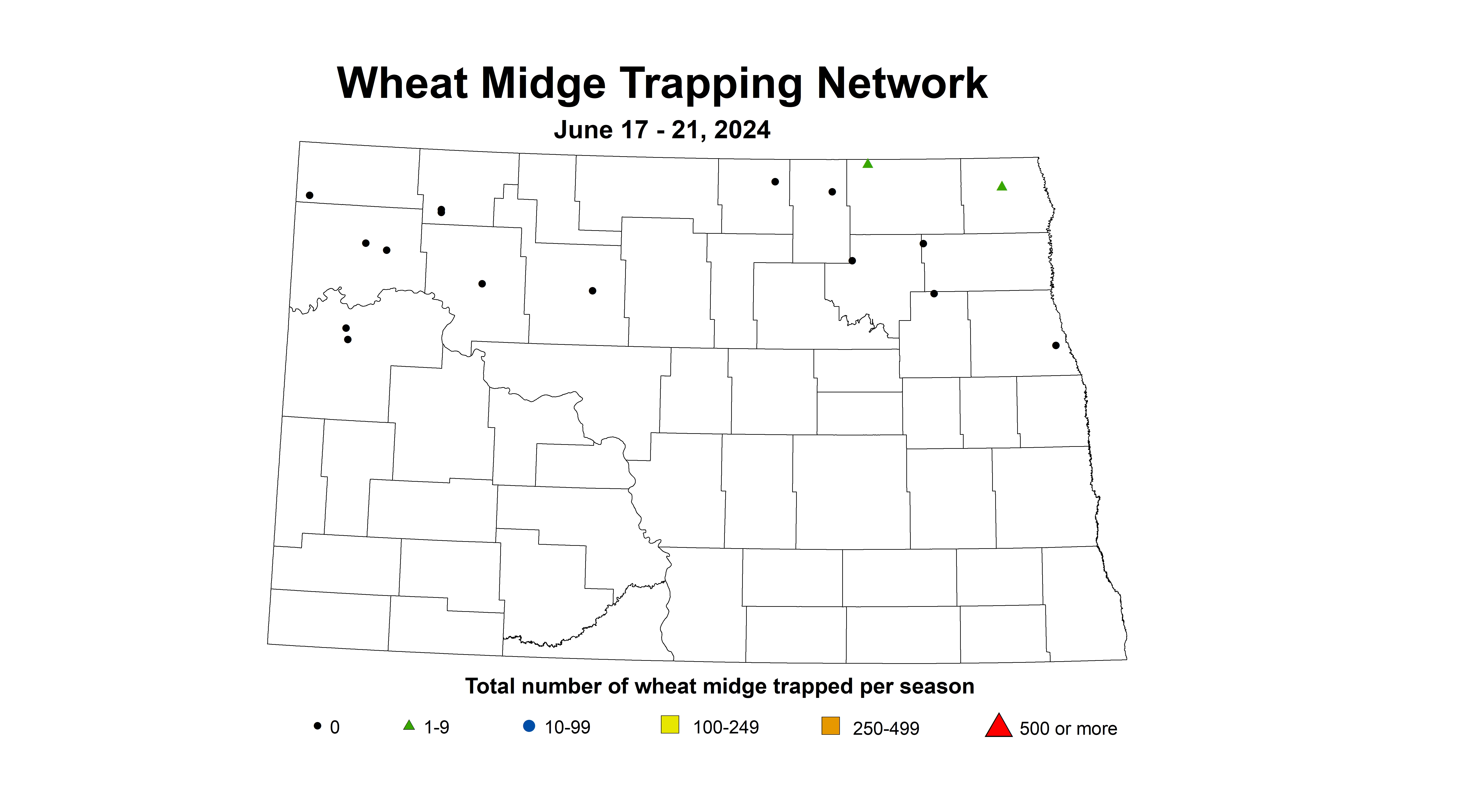 wheat midge trap total number June 17-21 2024