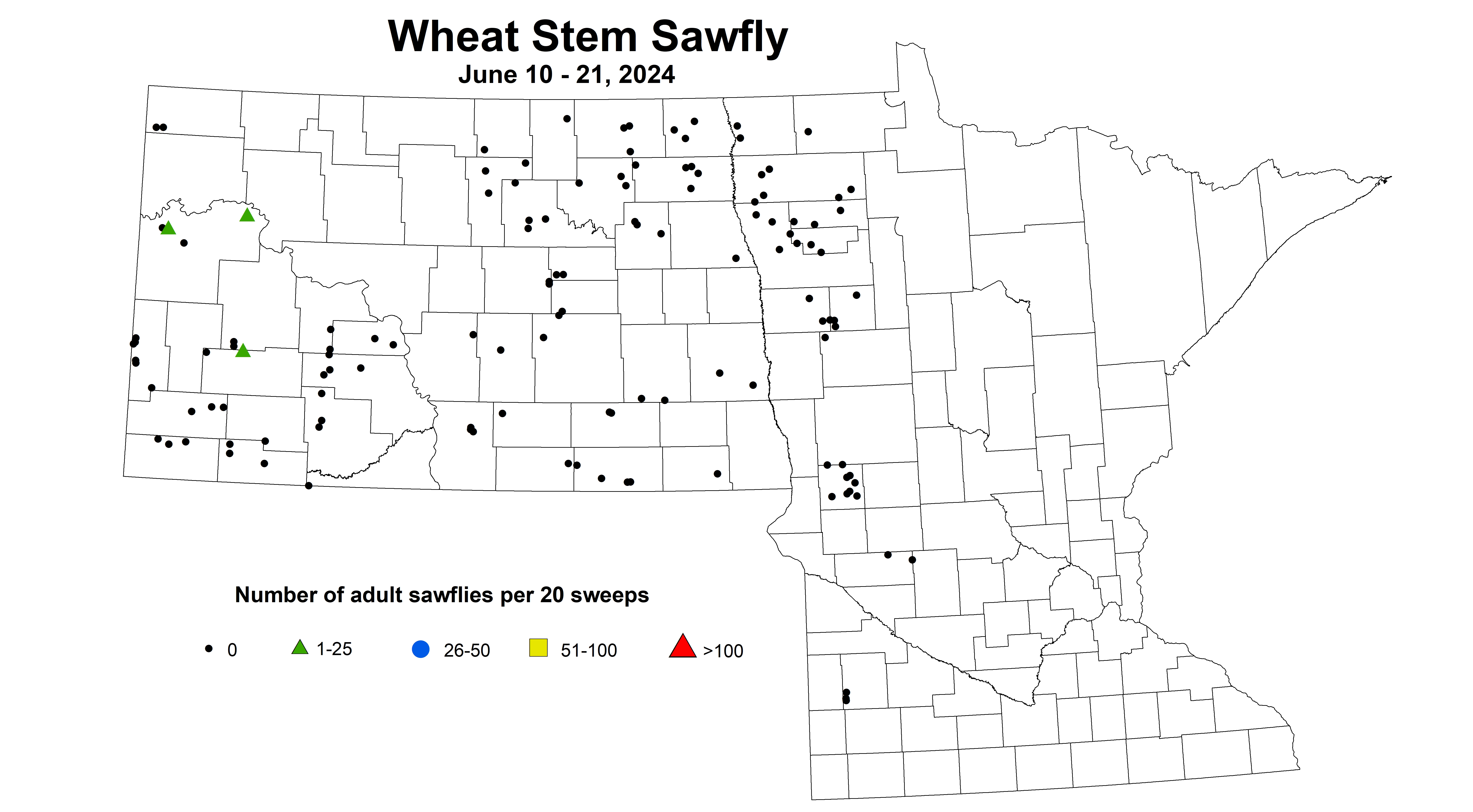 wheat sawfly 2024 6.10-6.21
