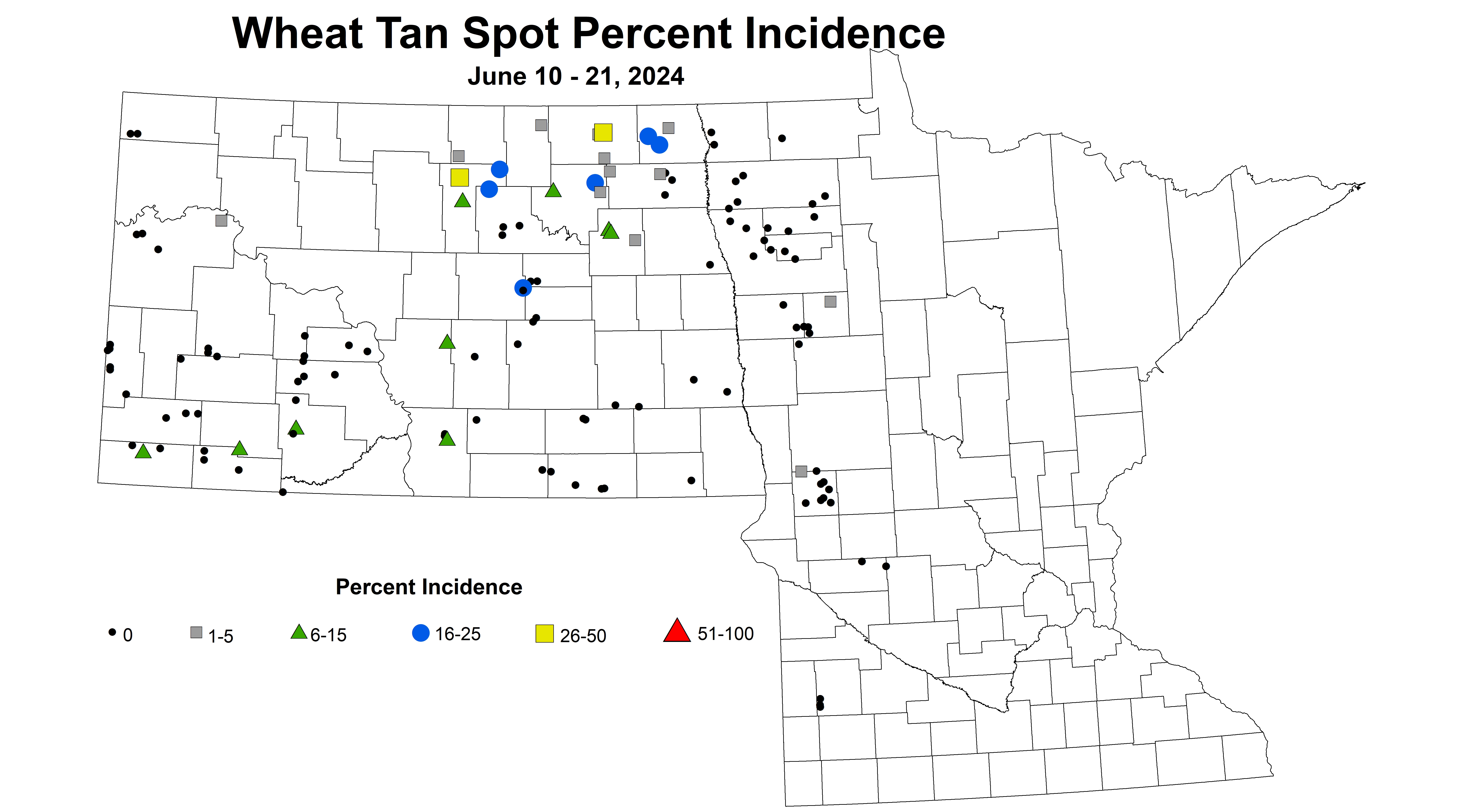 wheat tan spot percent incidence 2024 6.10-6.21