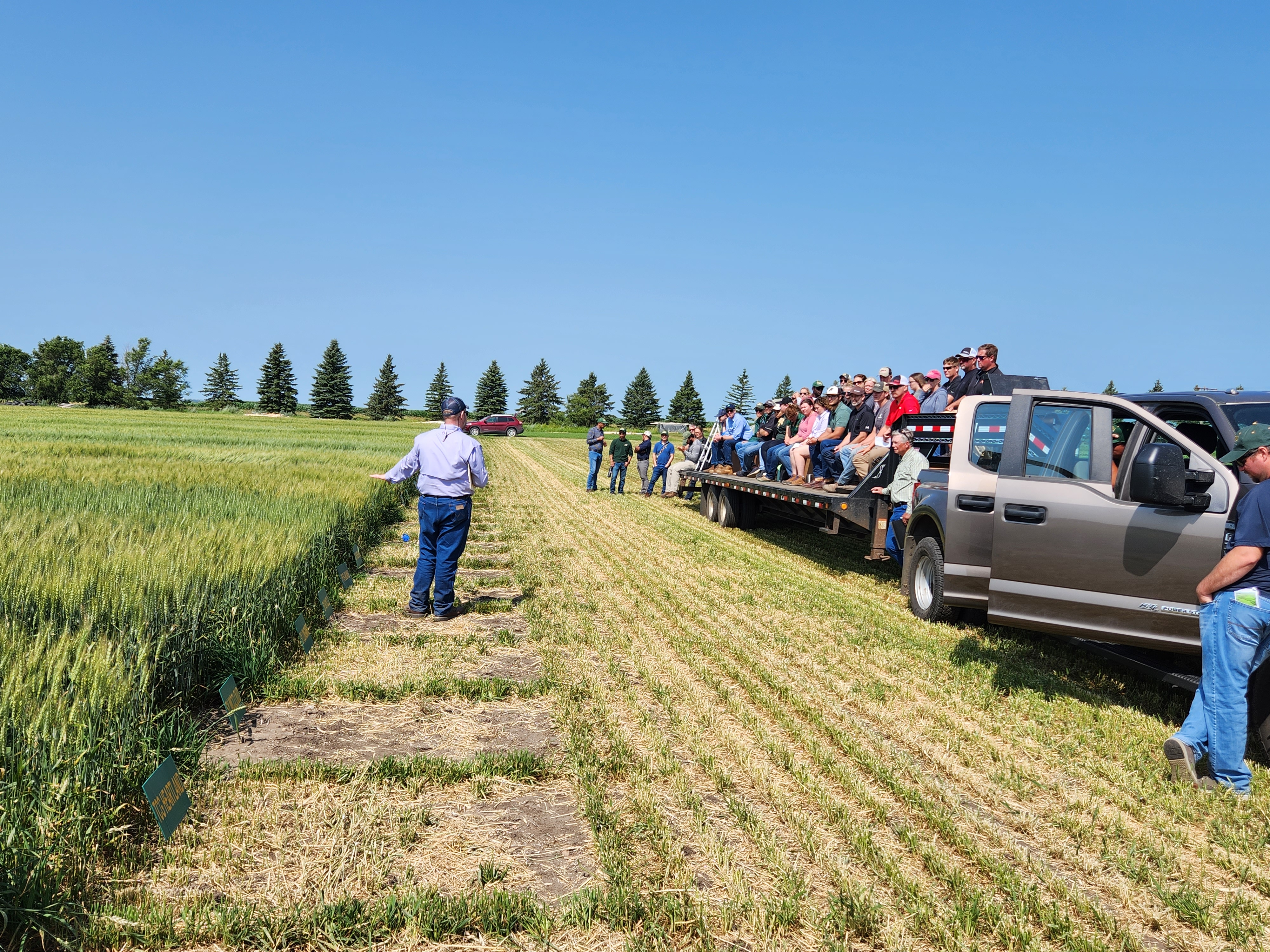 Participants at a Carrington REC field day are sitting on benches on a trailer parked alongside research plots. An NDSU agriculture expert is gesturing at one plot as he speaks.