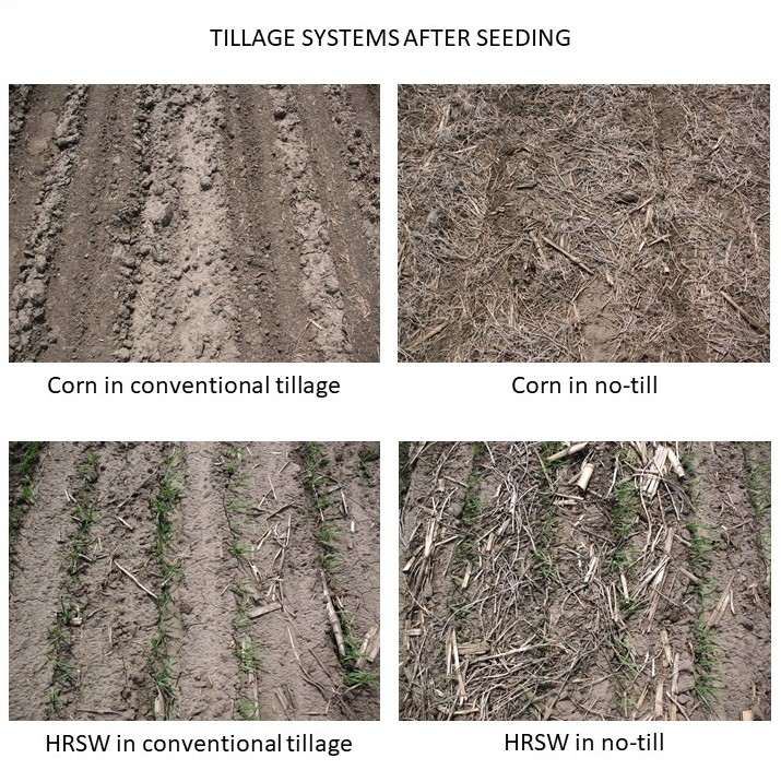 Four photos show bare ground where conventional tillage has been imposed, and organic matter on the soil surface in no-till systems.
