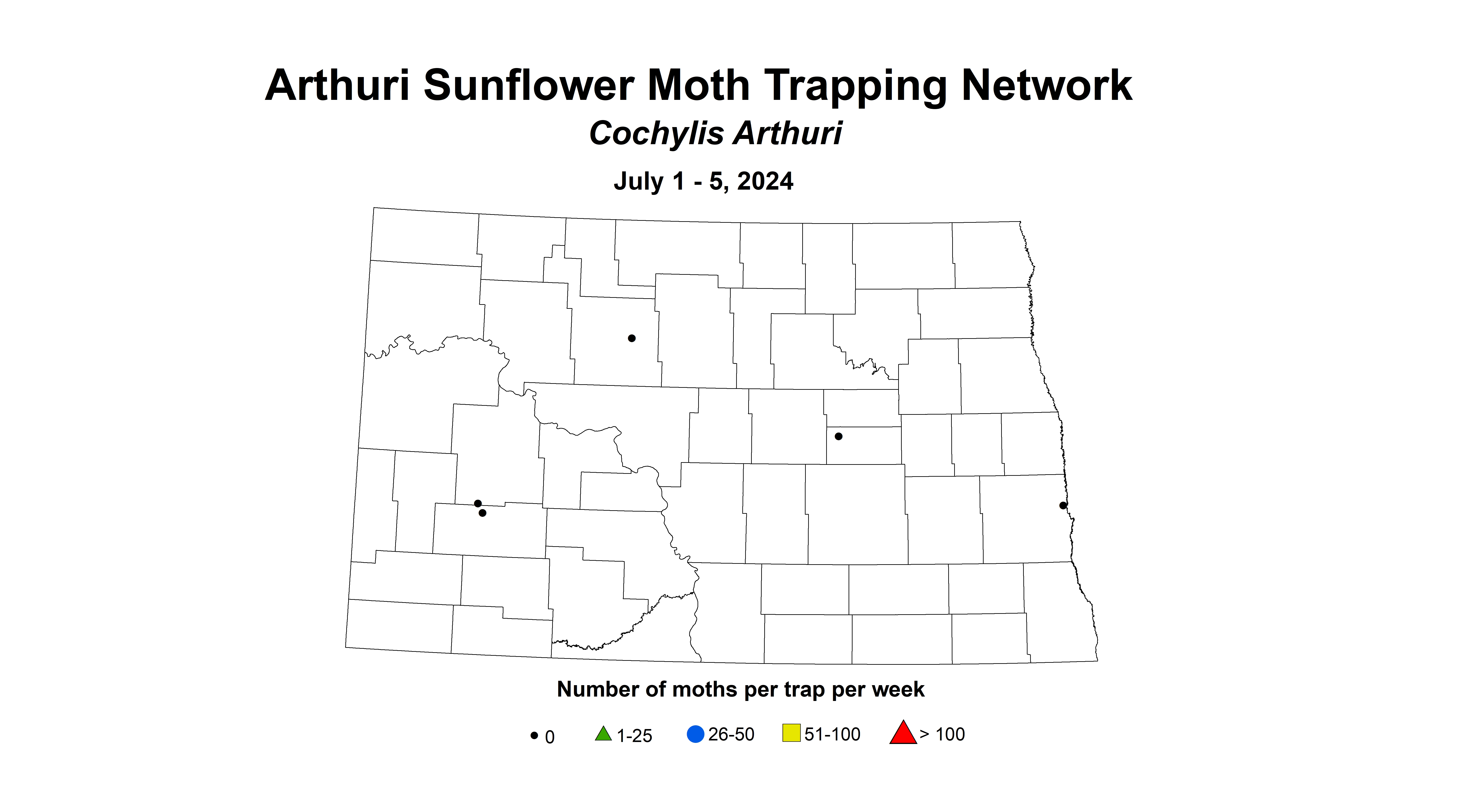 arthuri sunflower moth July 1 - 5 2024