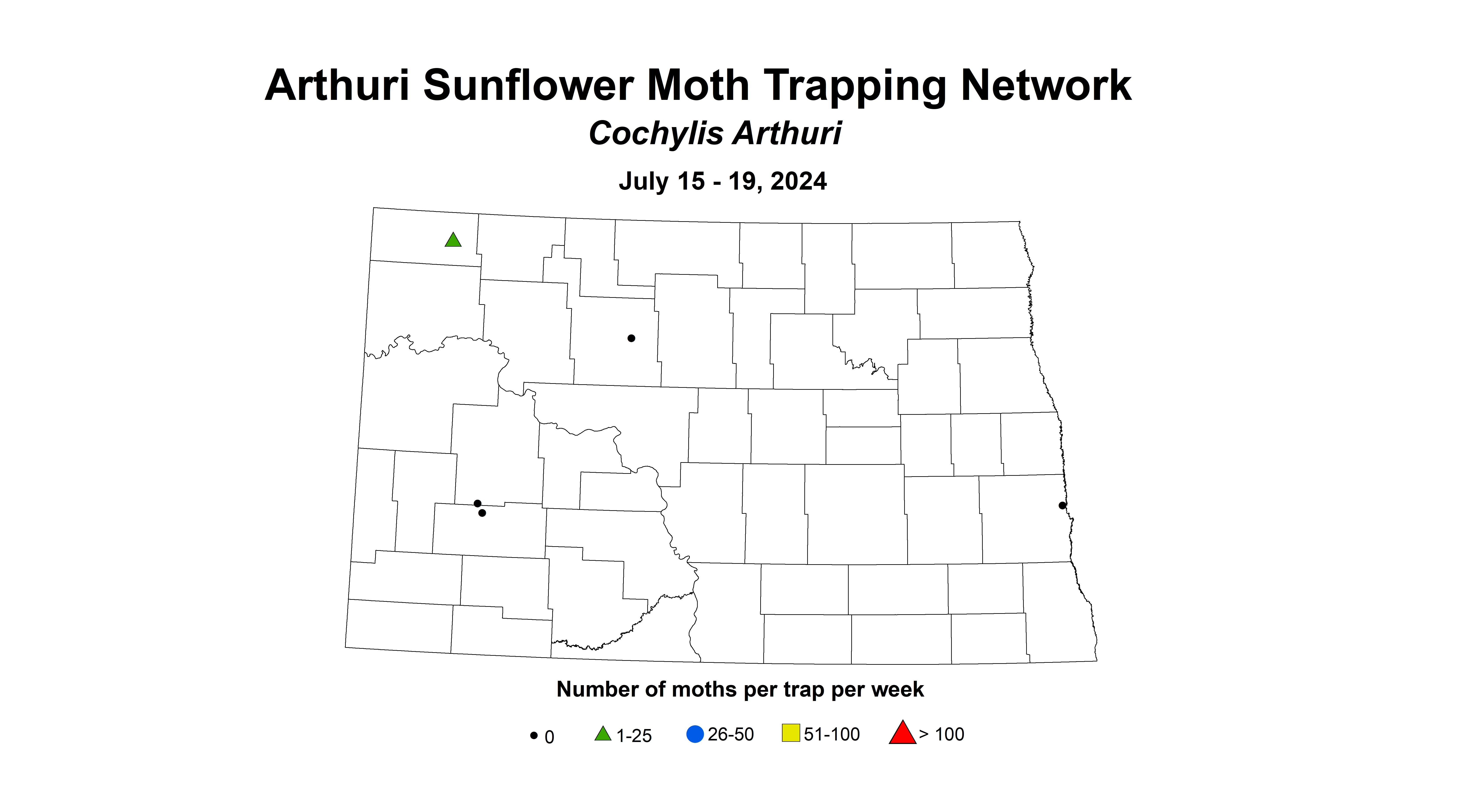 arthuri sunflower moth July 15 - 19 2024