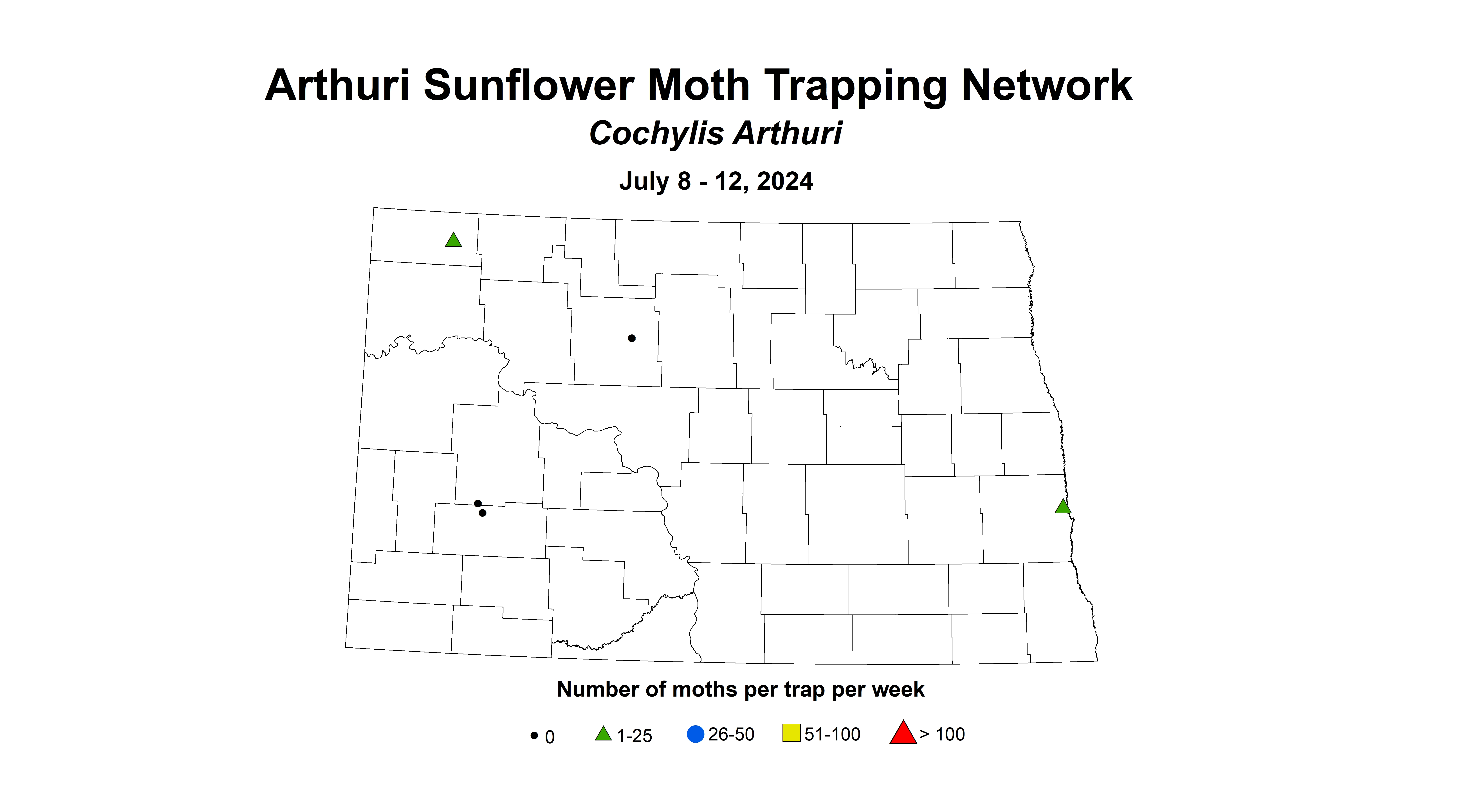 arthuri sunflower moth July 8 - 12 2024