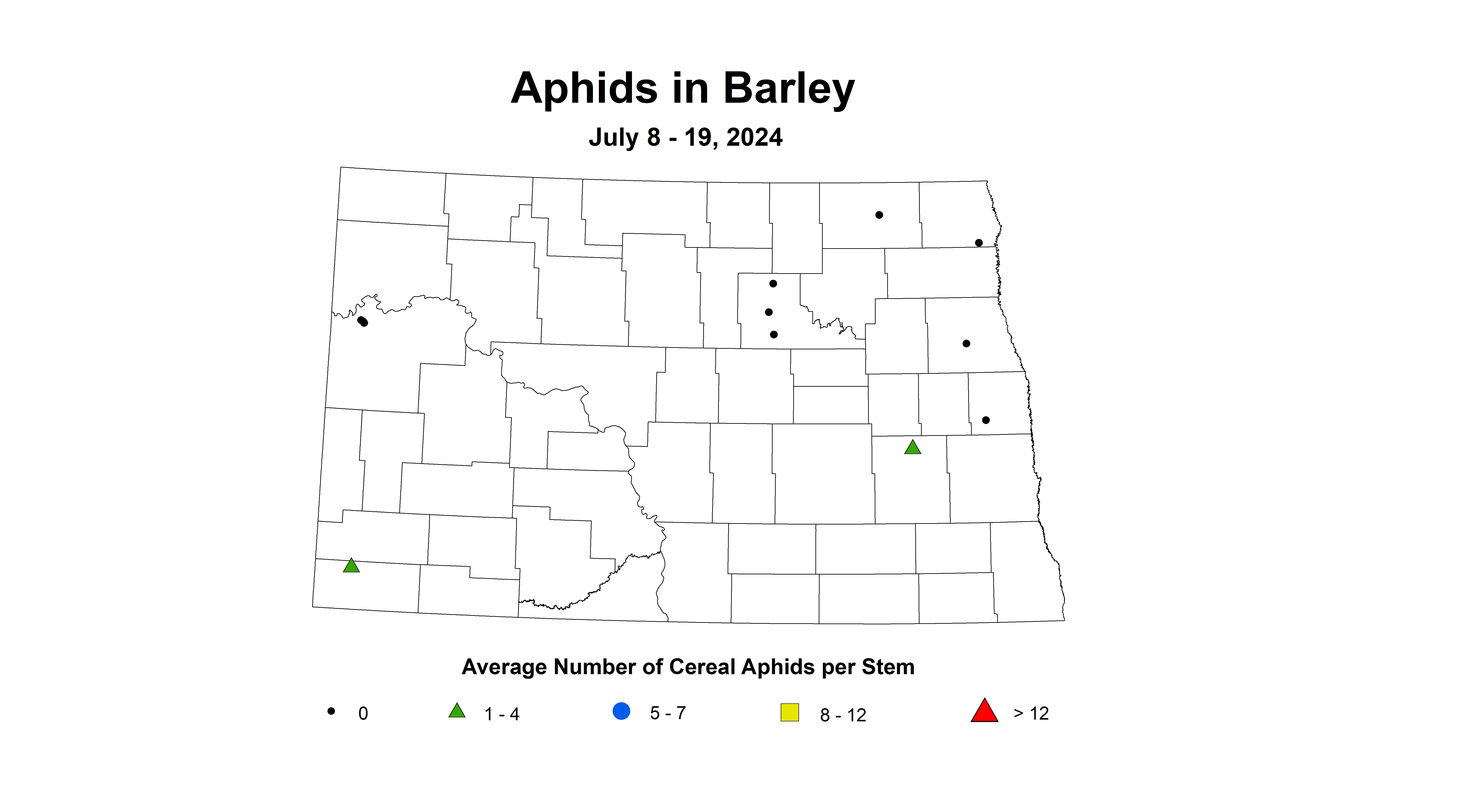 barley aphid July 8-19 2024