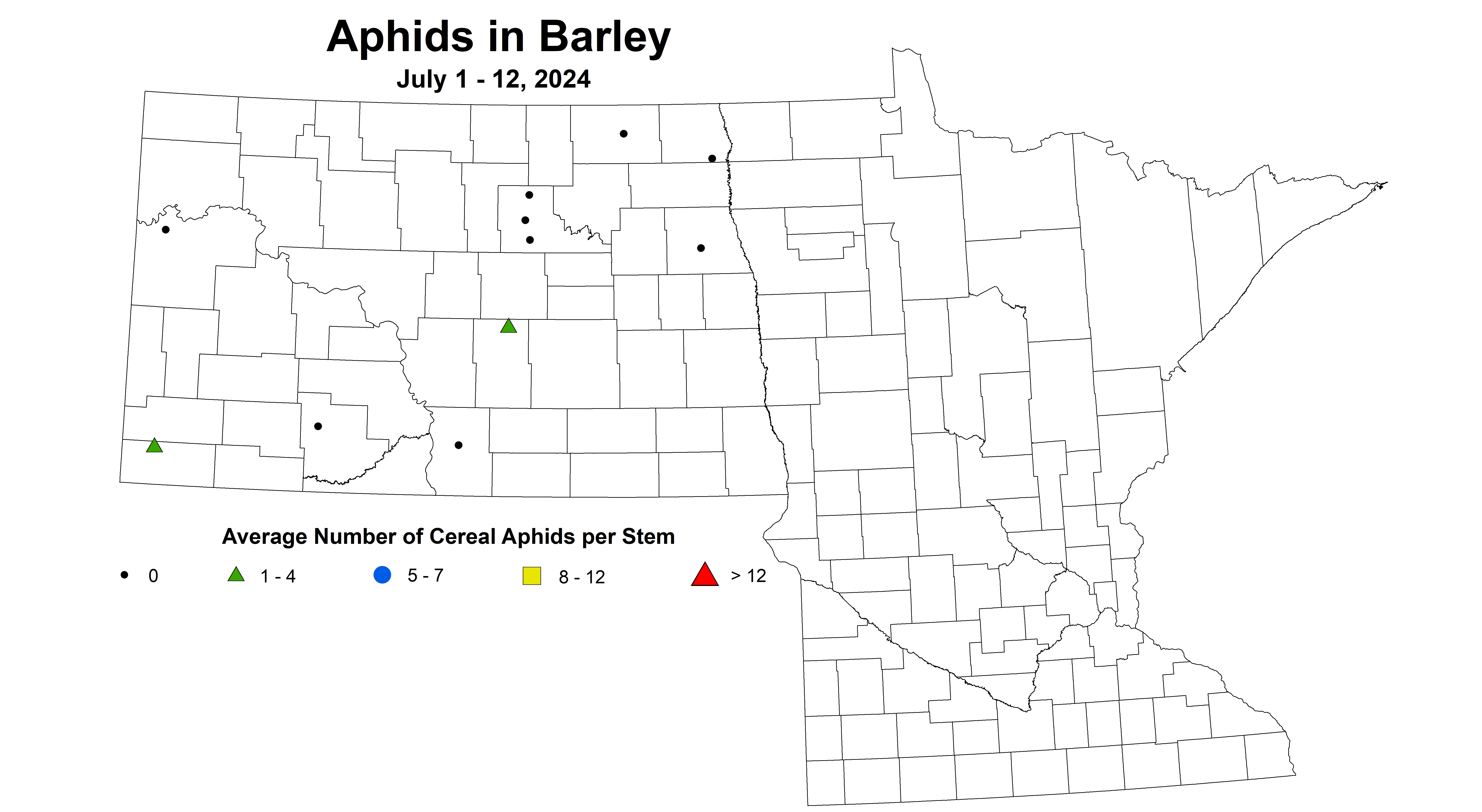 barley aphids July 1-12 2024