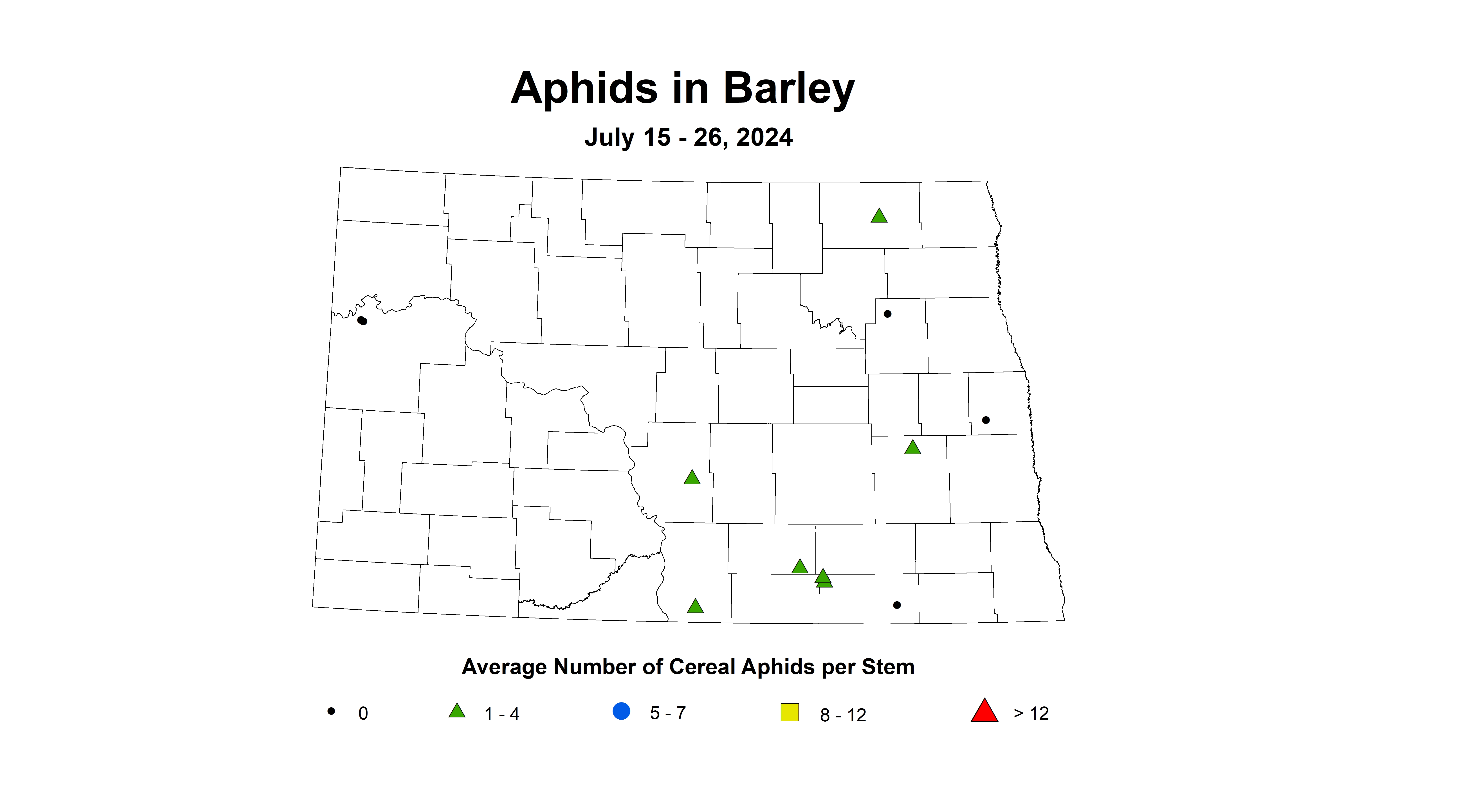 barley aphids July 15-26 2024