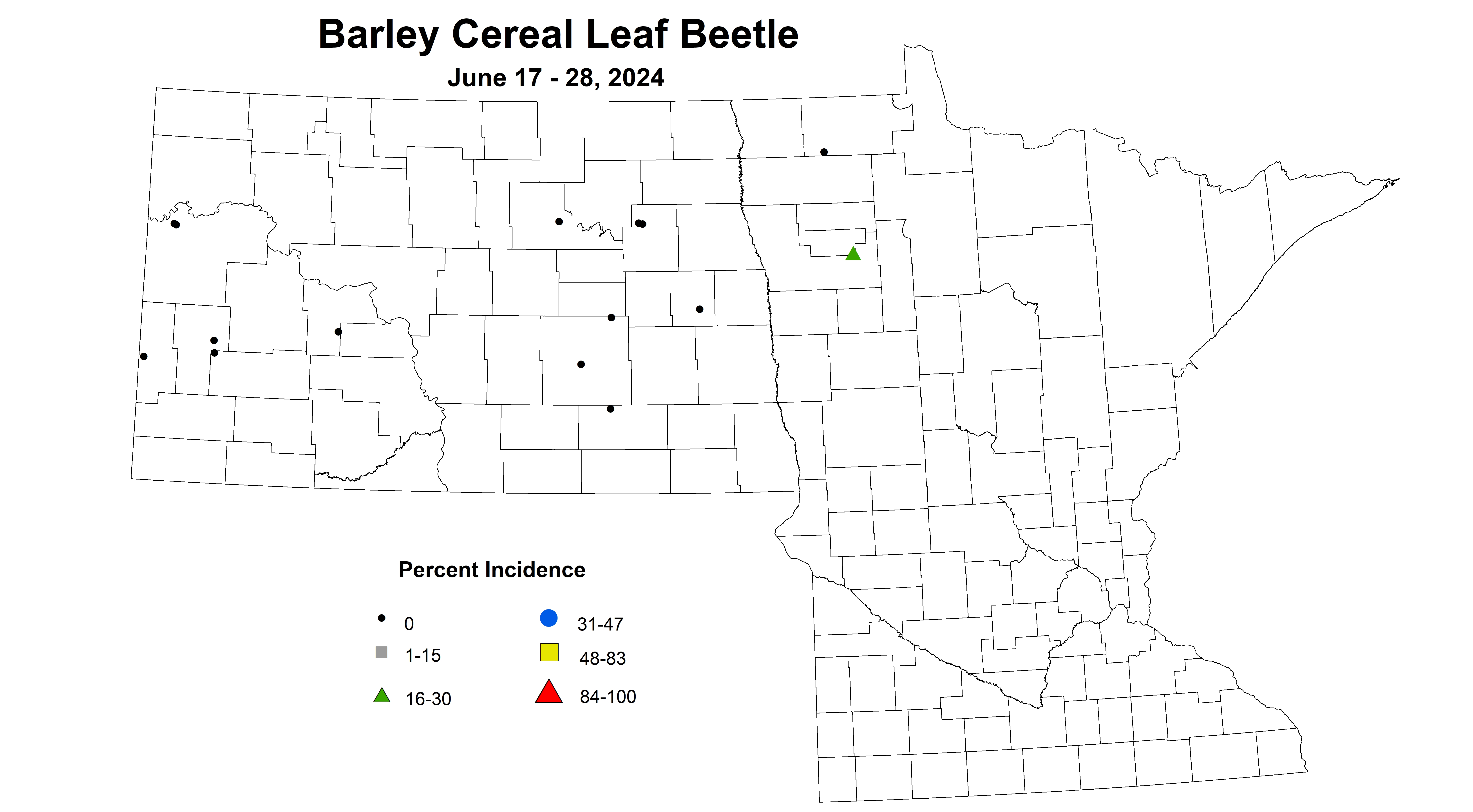 barley cereal leaf beetle June 17-28 2024