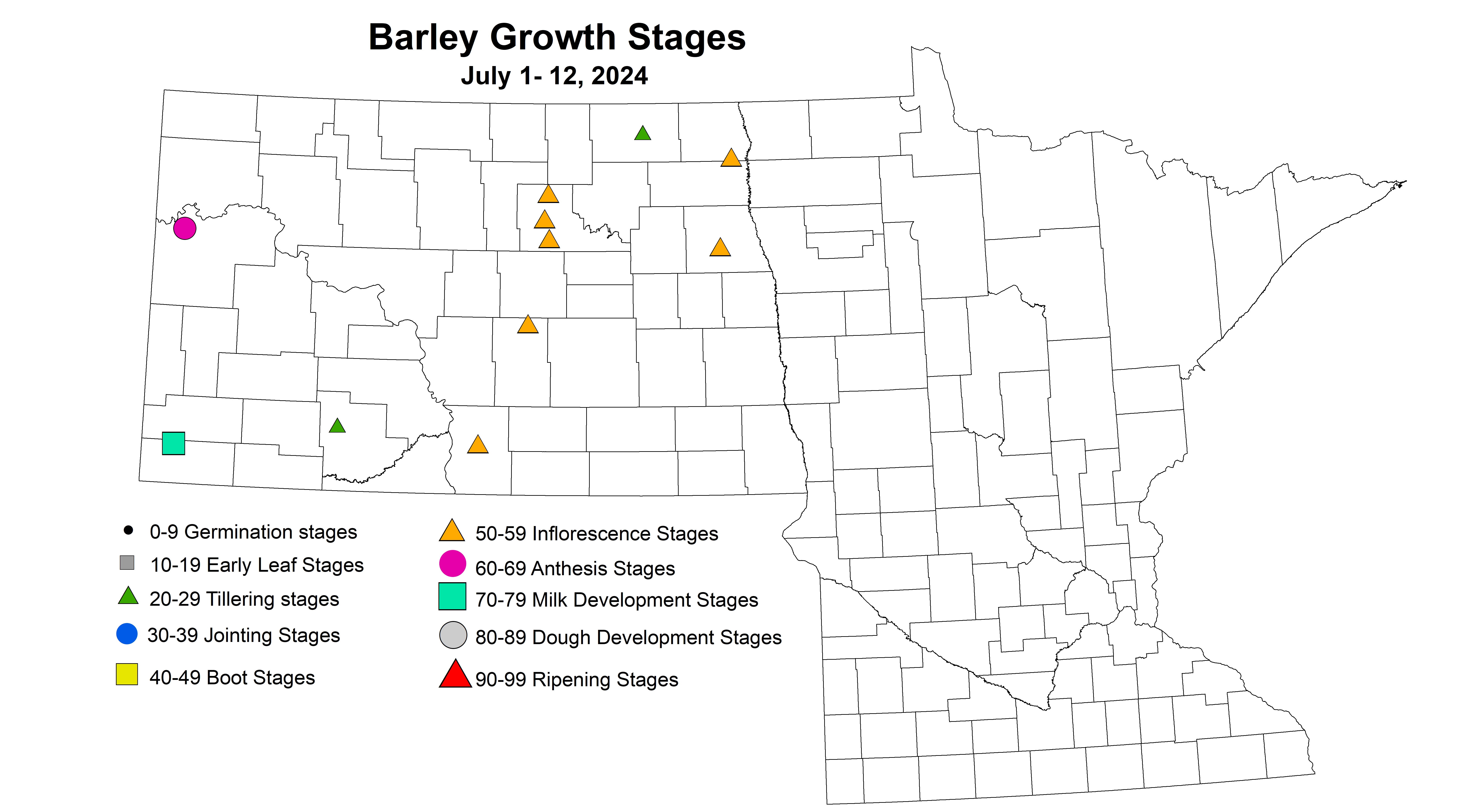 barley growth stages July 1-12 2024