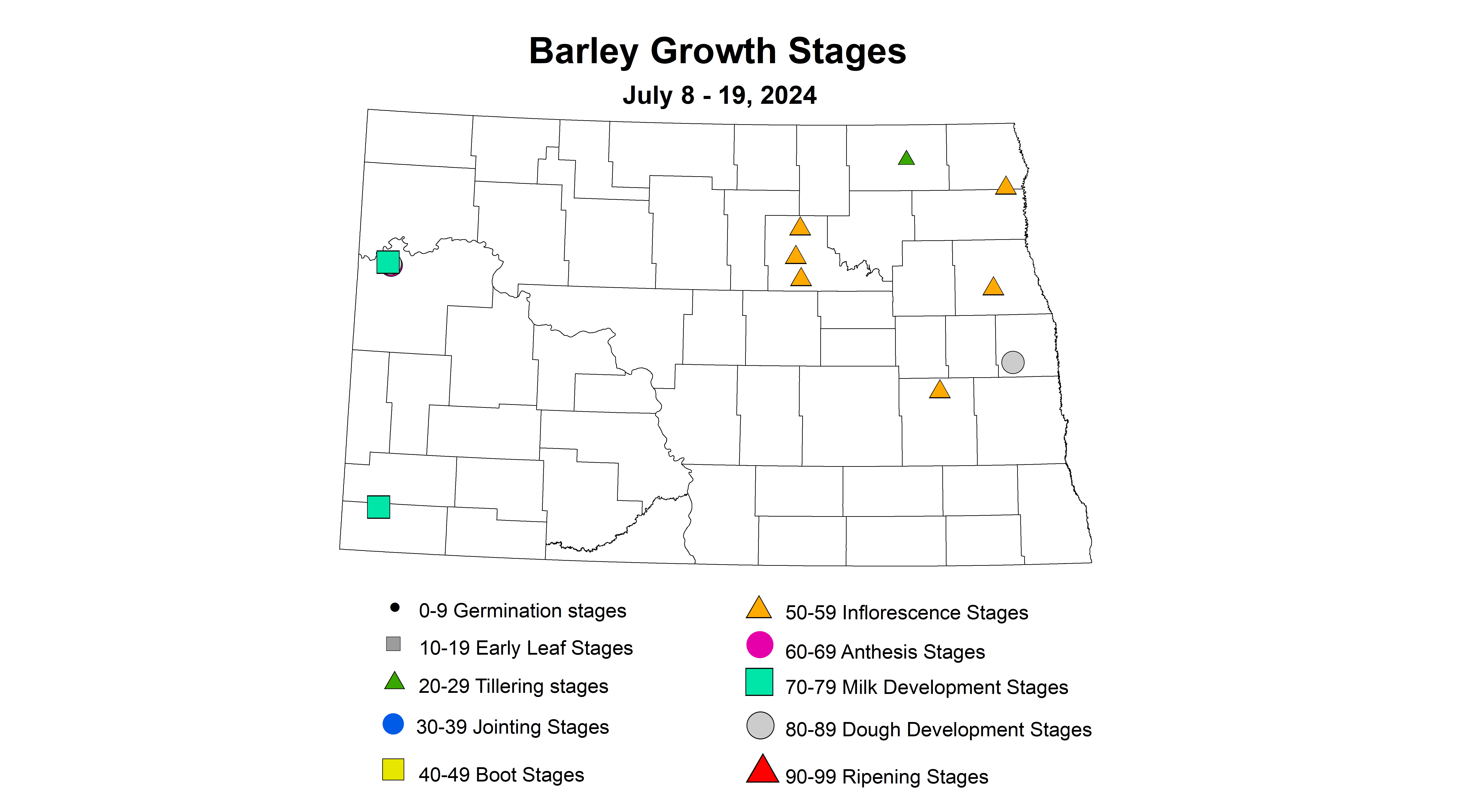 barley growth stages July 8-19 2024