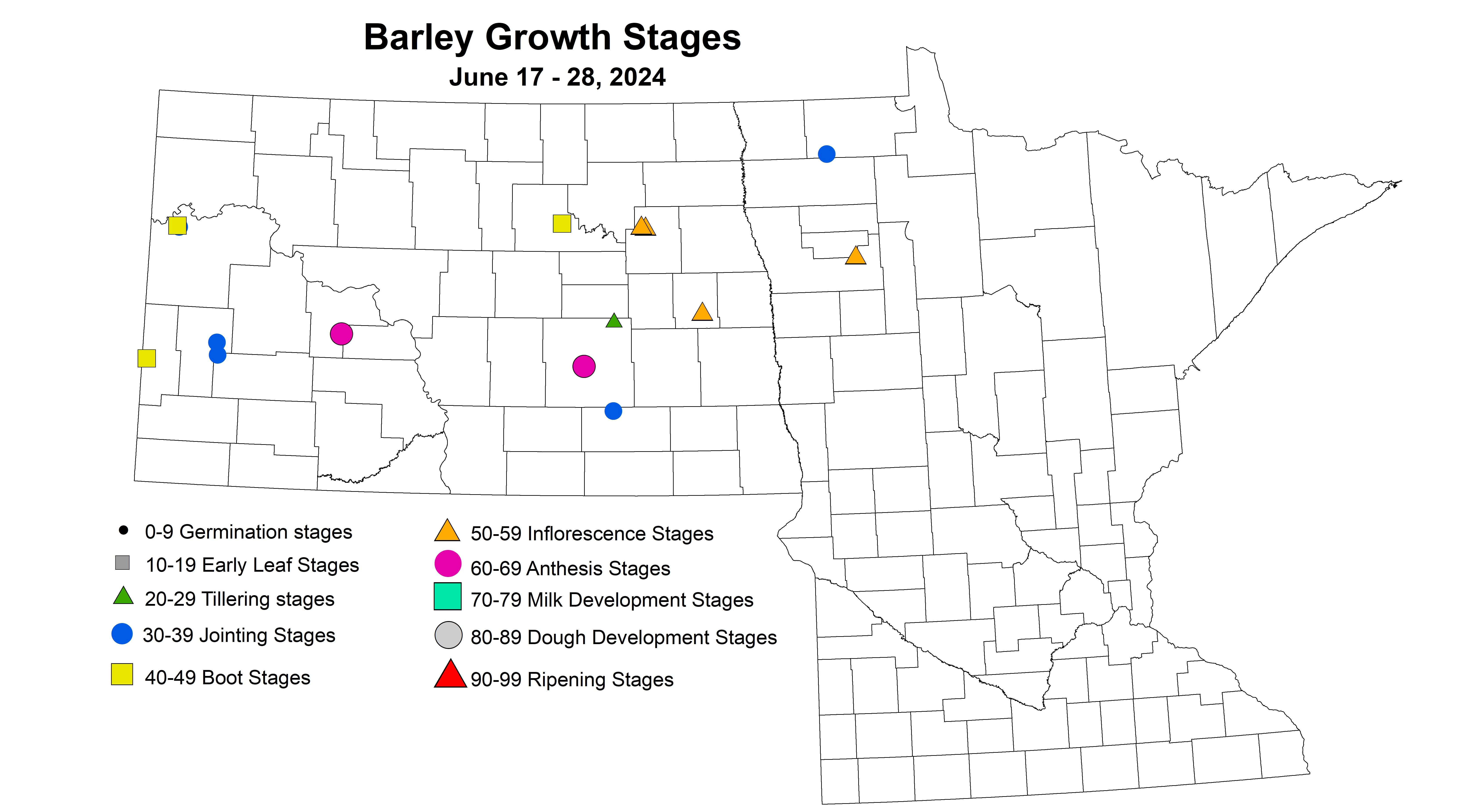 barley growth stages June 17-28 2024