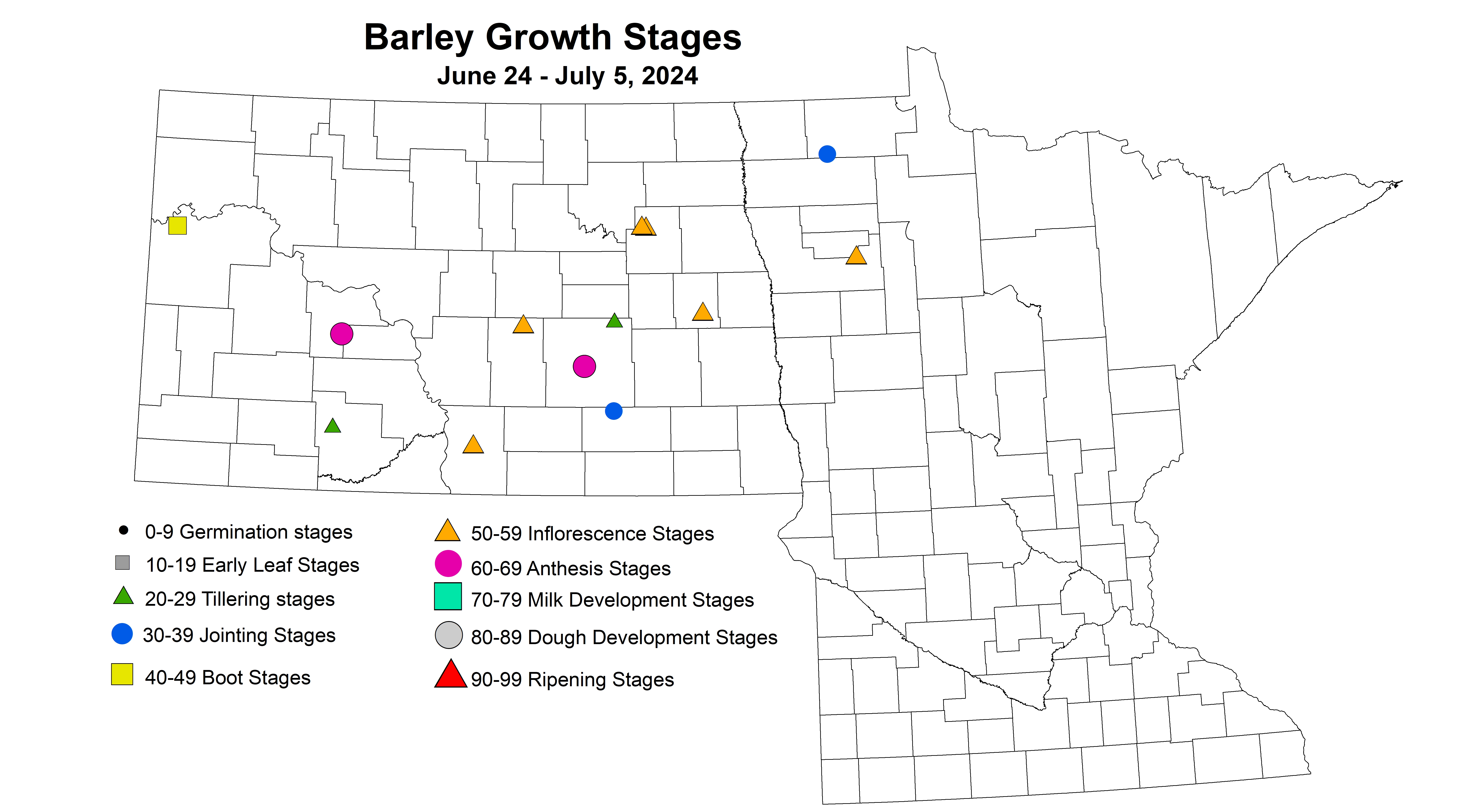 barley growth stages June 24 to July 5 2024
