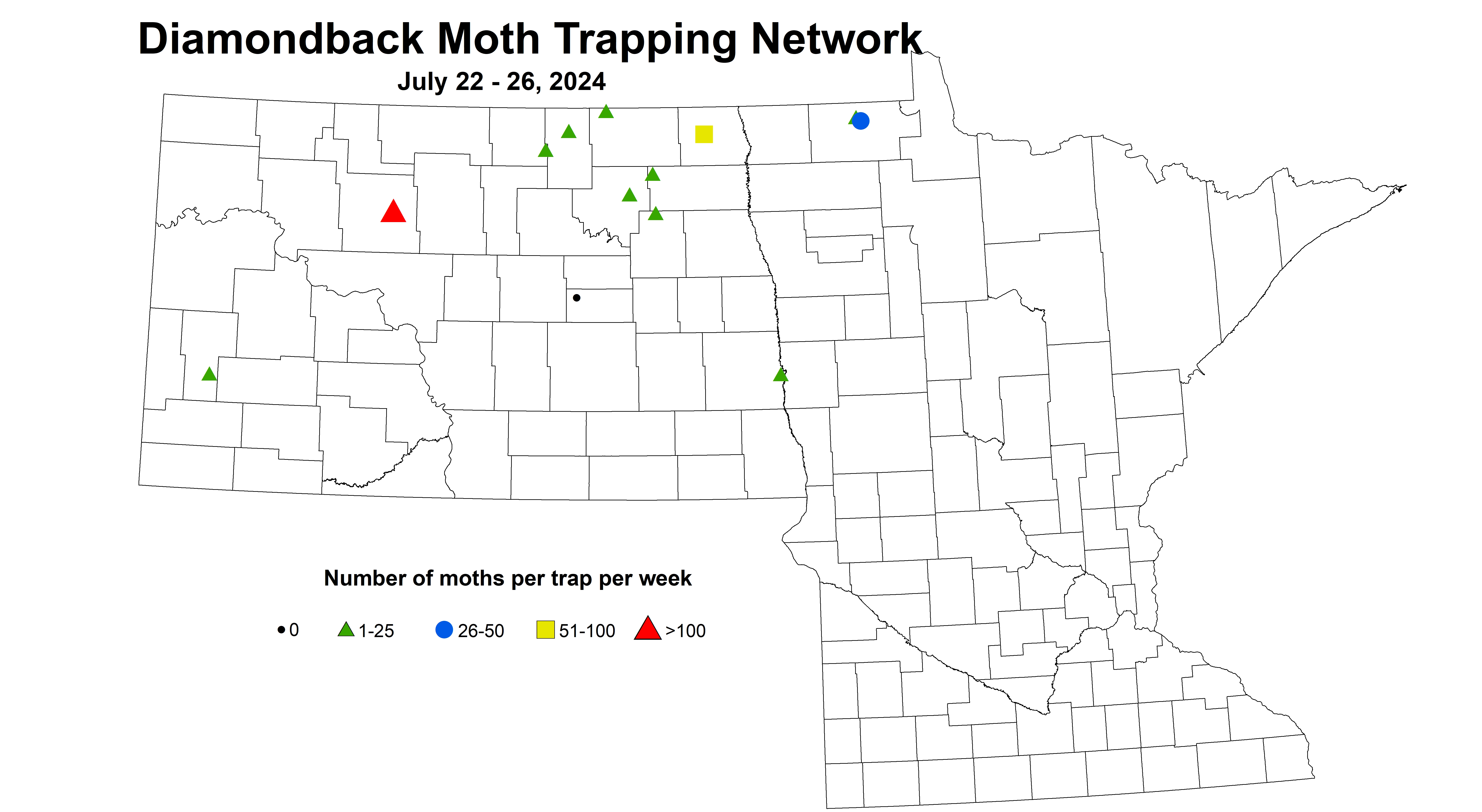 canola diamondback moth 7.22-7.26 2024