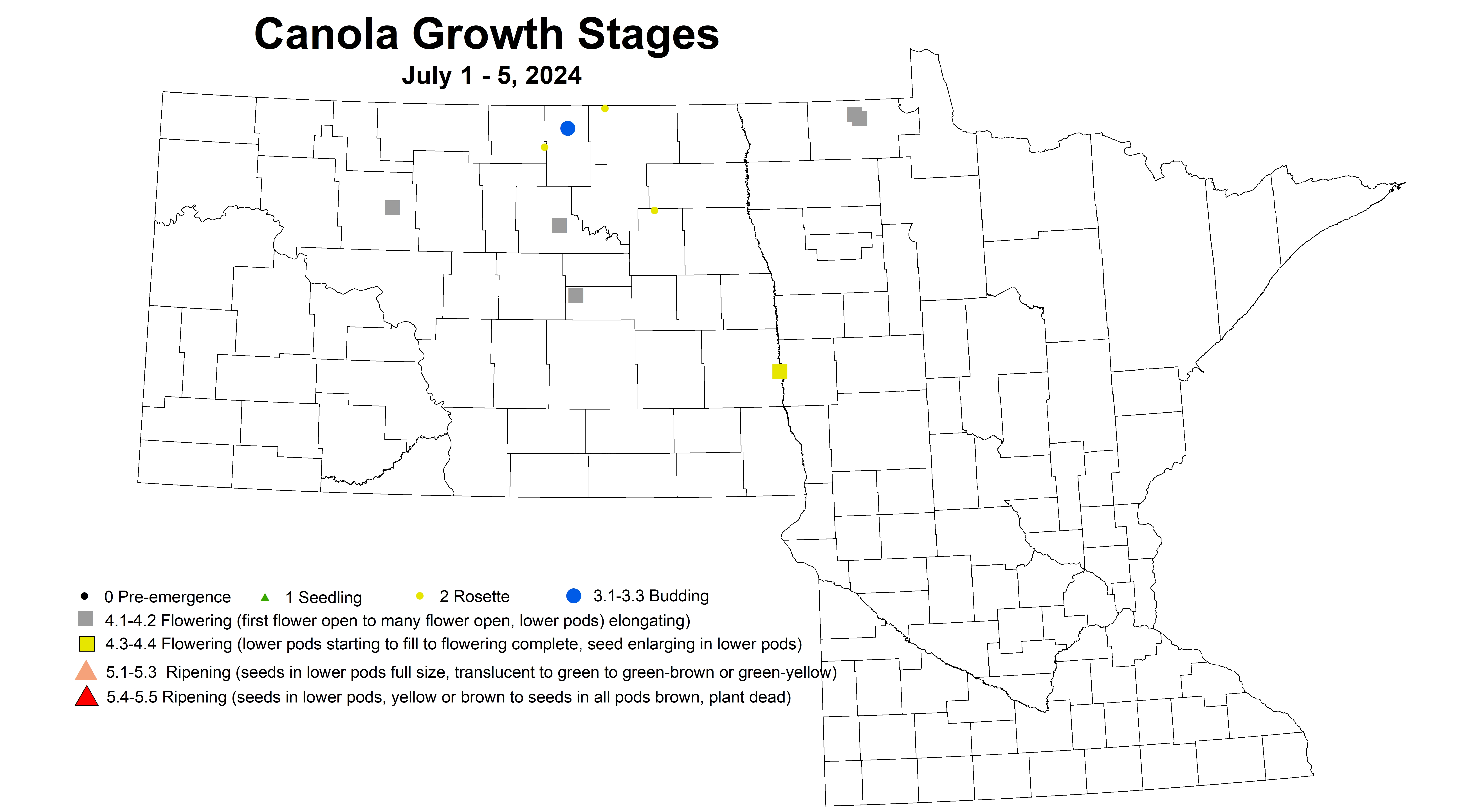 corrected canola growth stages 7.1-7.5 2024
