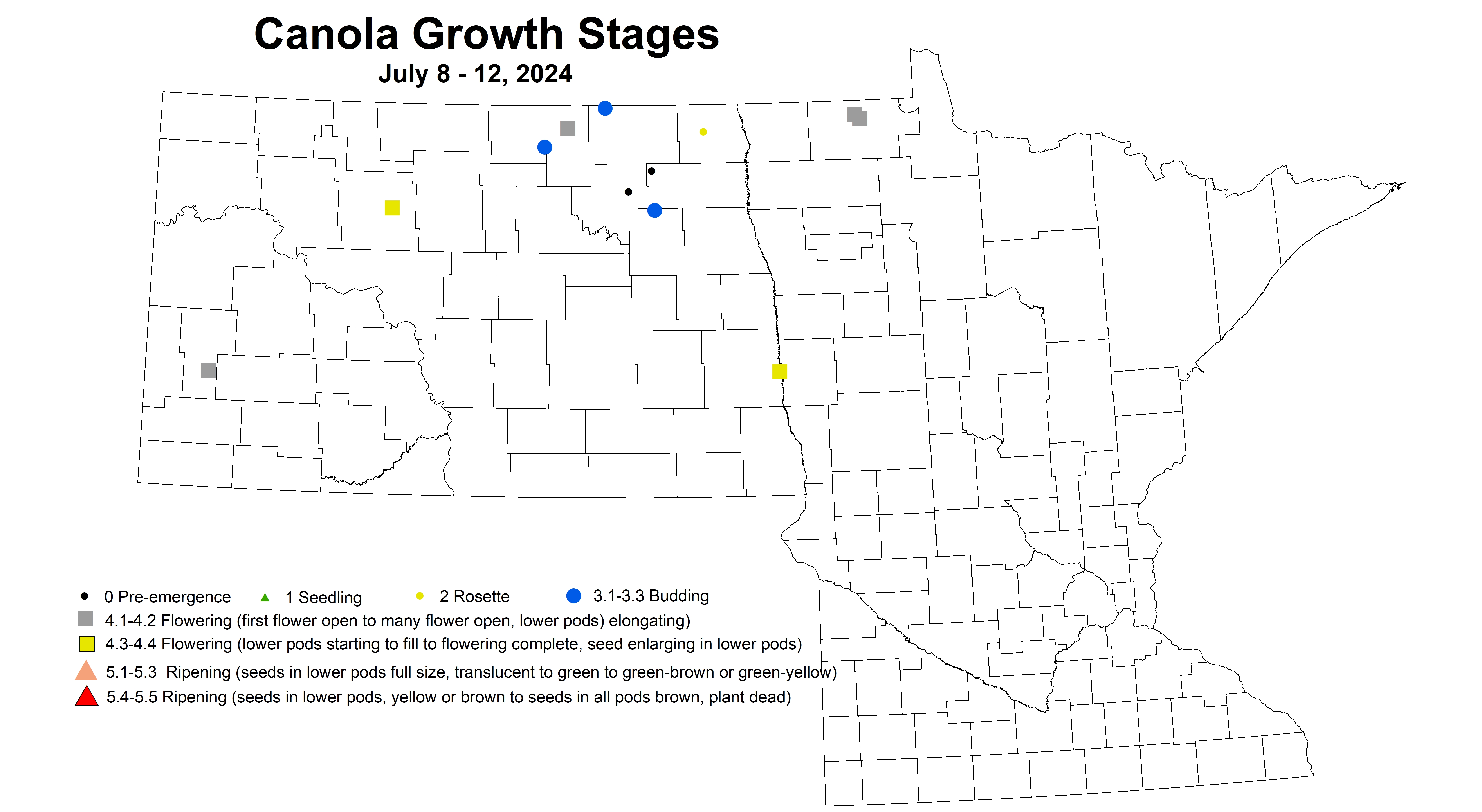 corrected canola growth stages 7.8-7.12 2024