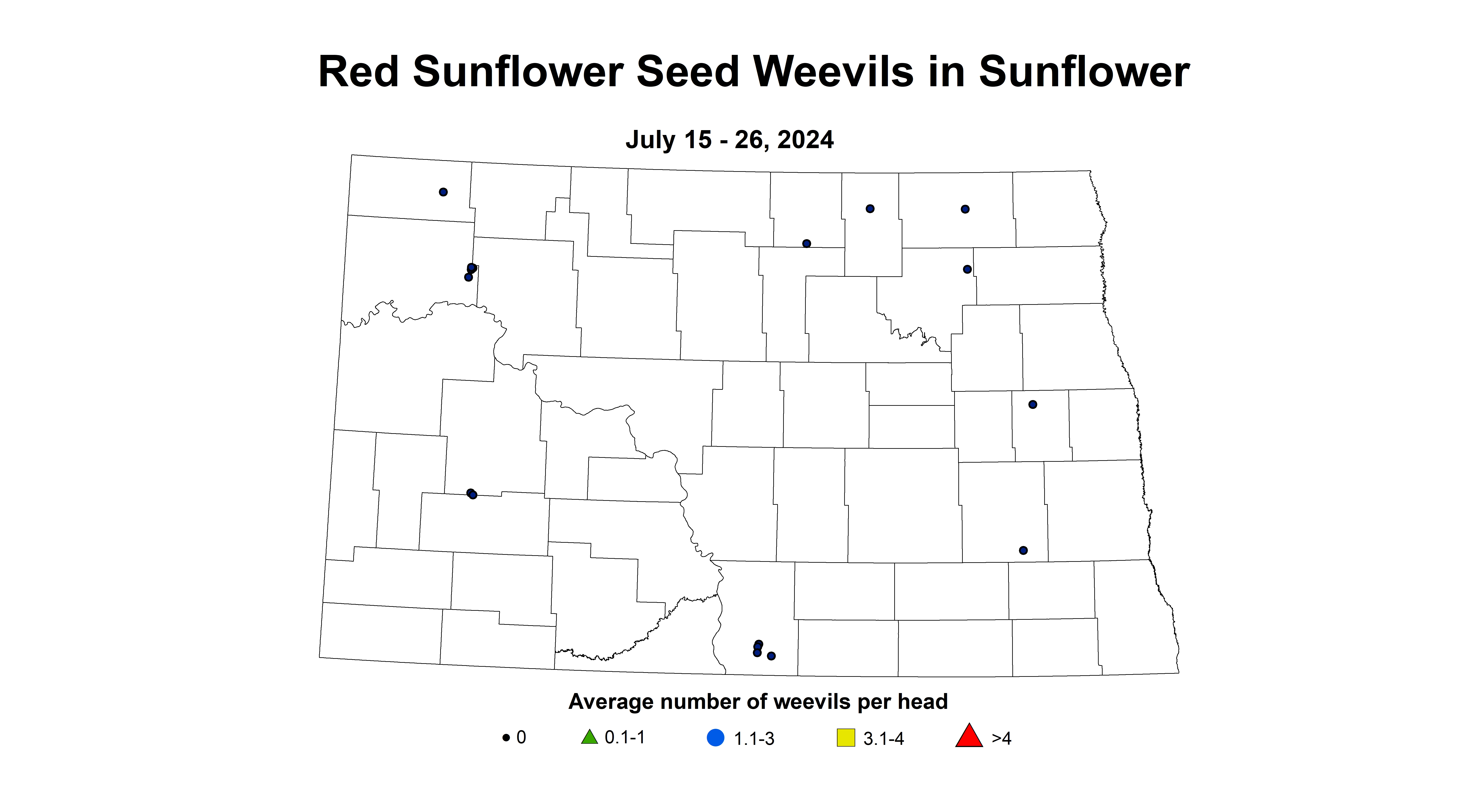 red sunflower seed weevils July 15 - 26 2024