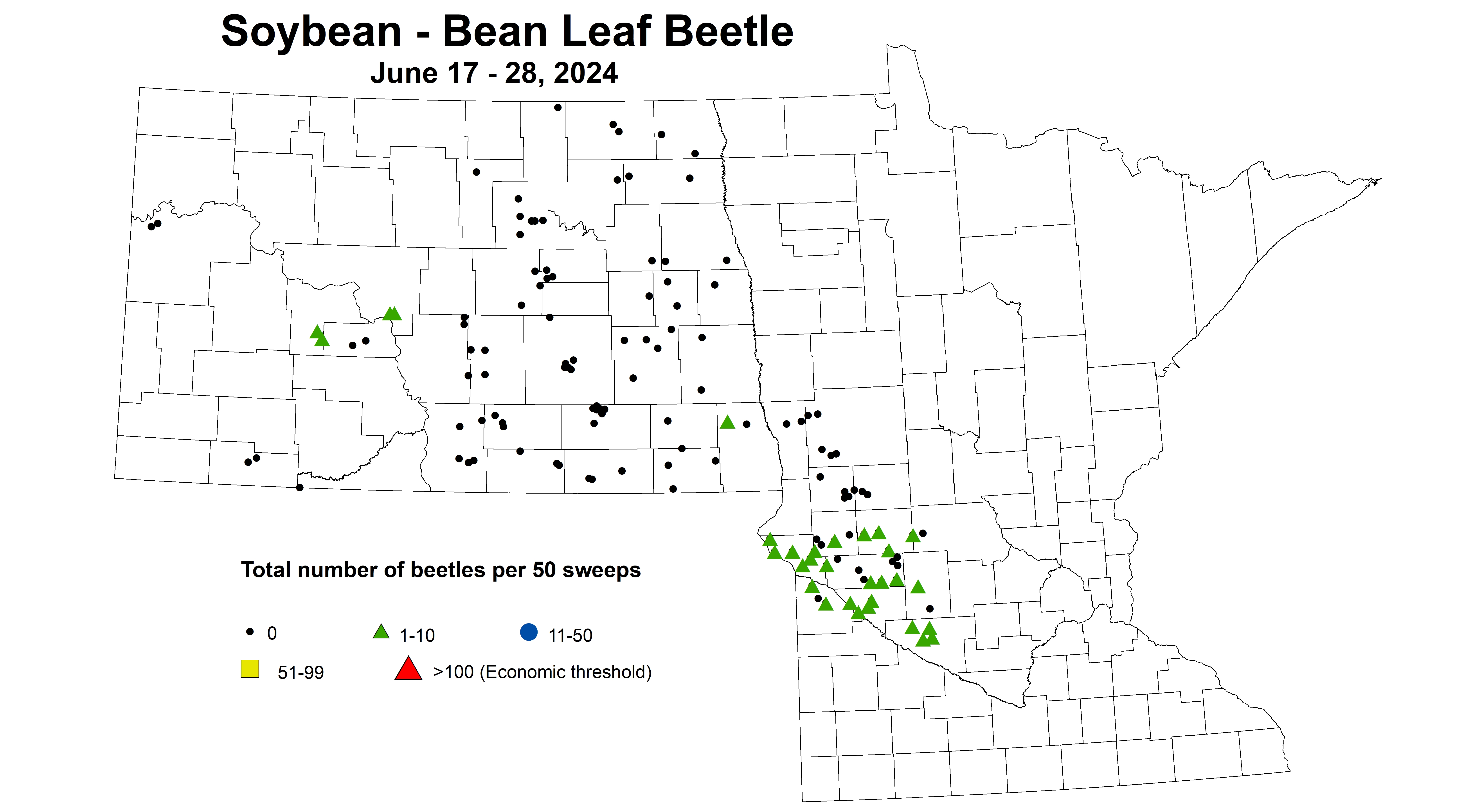 soybean BLB beetles per 50 sweeps June 17-28 2024