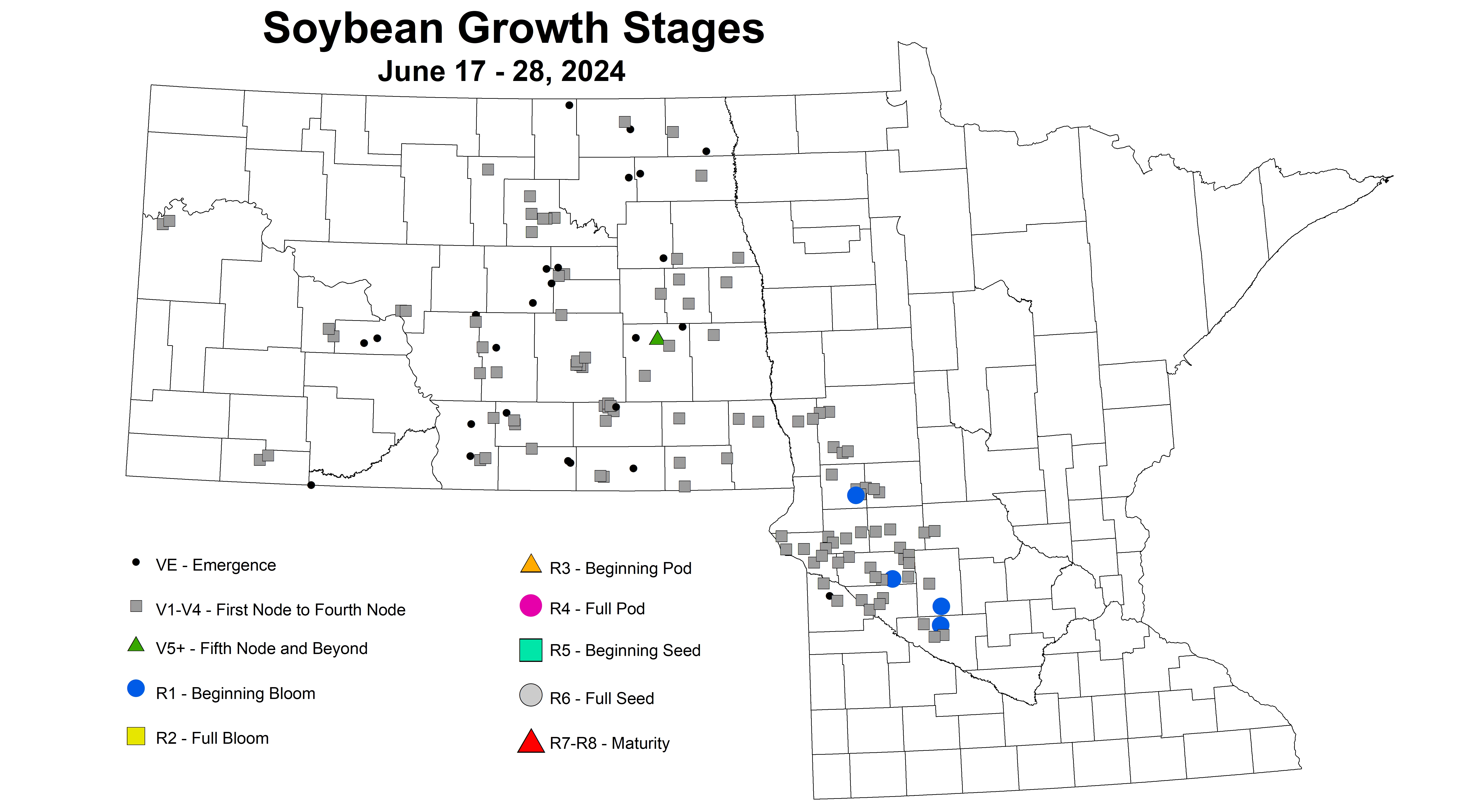 soybean growth stages June 17-28 2024