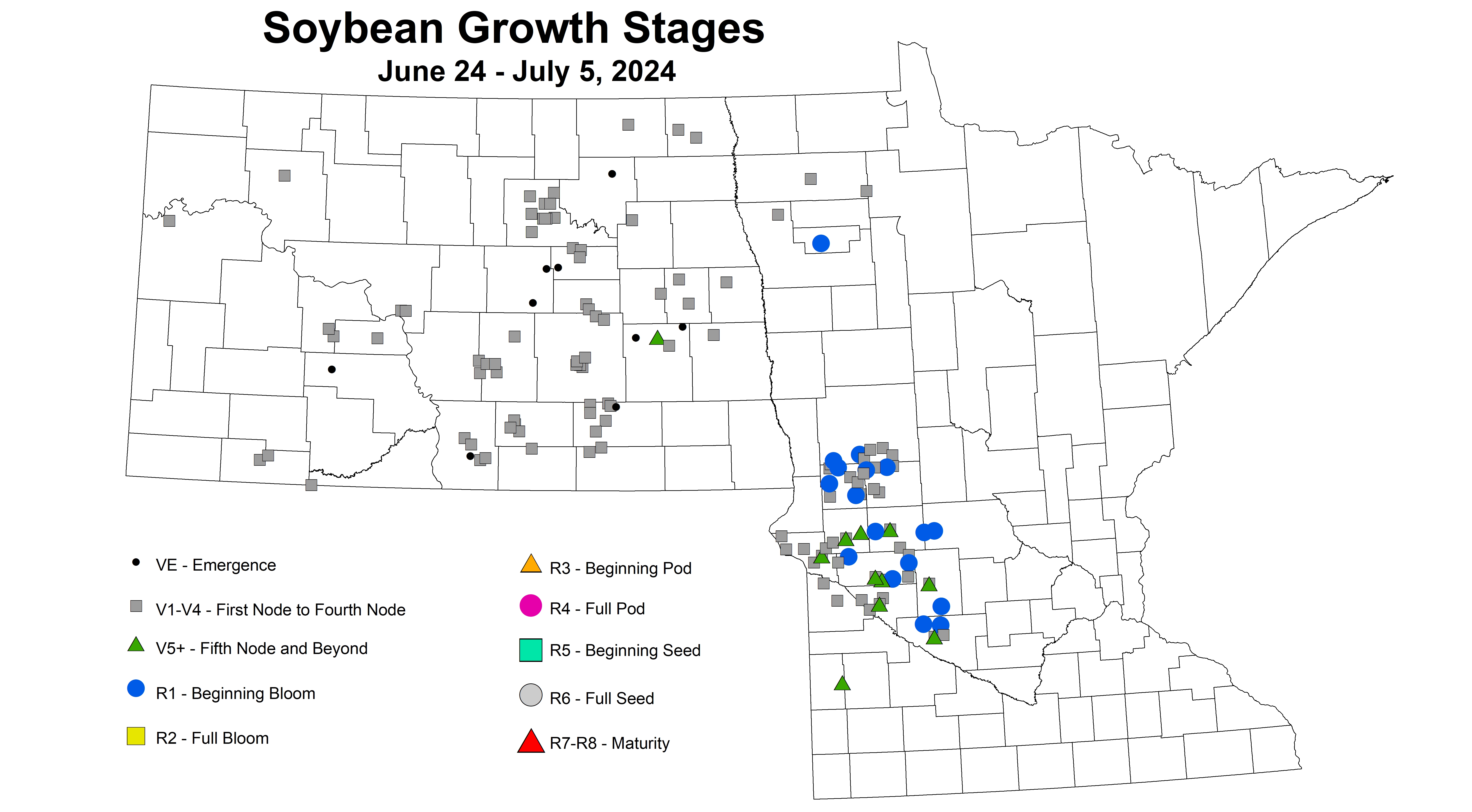 soybean growth stages June 24 to July 5 2024
